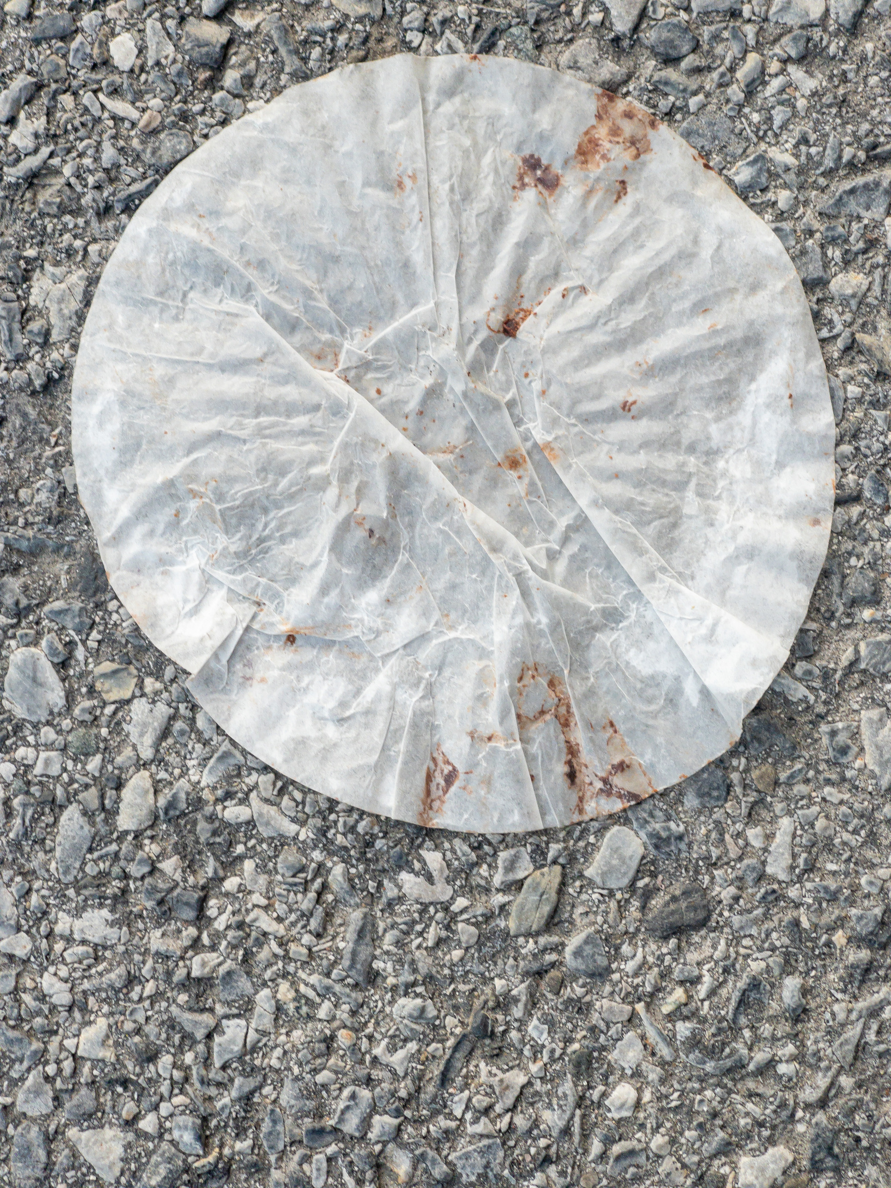 Flattened circular muffin paper on asphalt pavement.