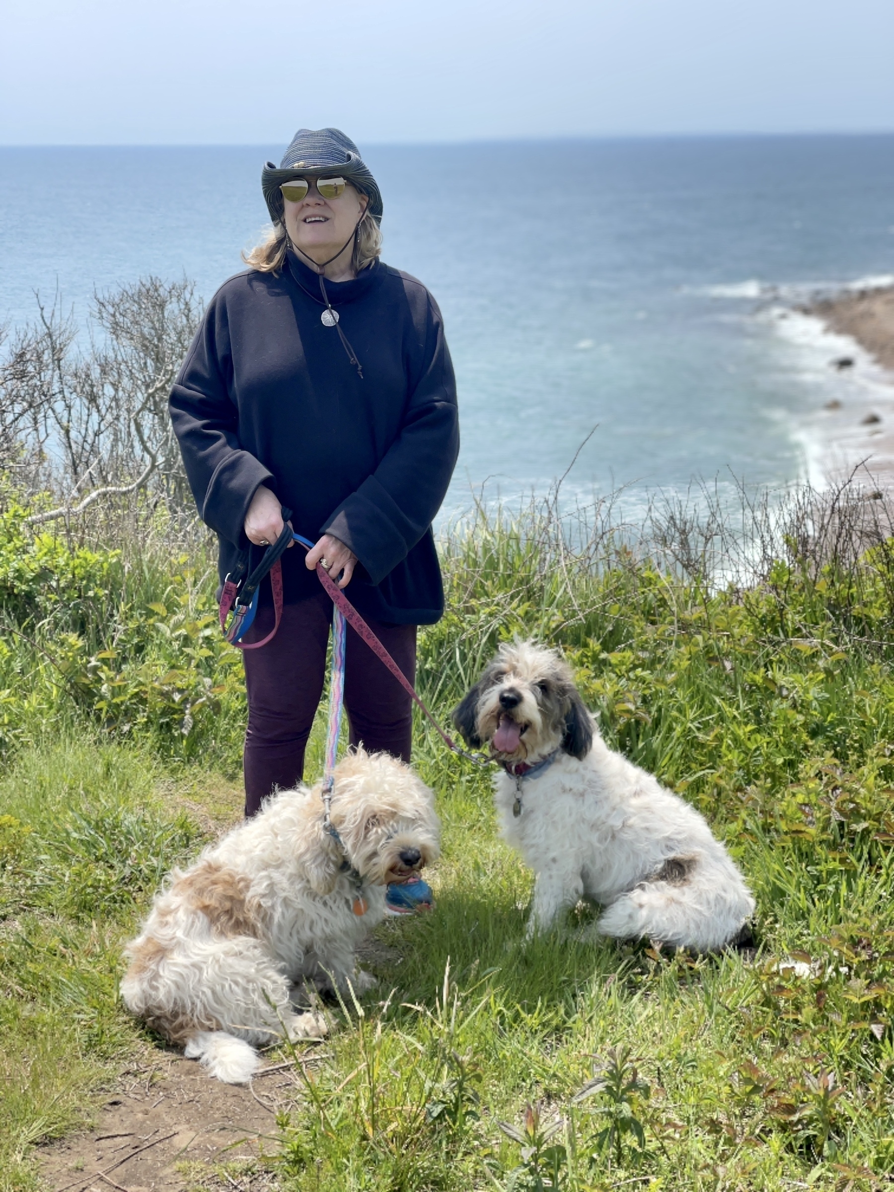 Picture of a woman with two dogs. A PBGV and a GBGV. Standing on a bluff overlooking the ocean.