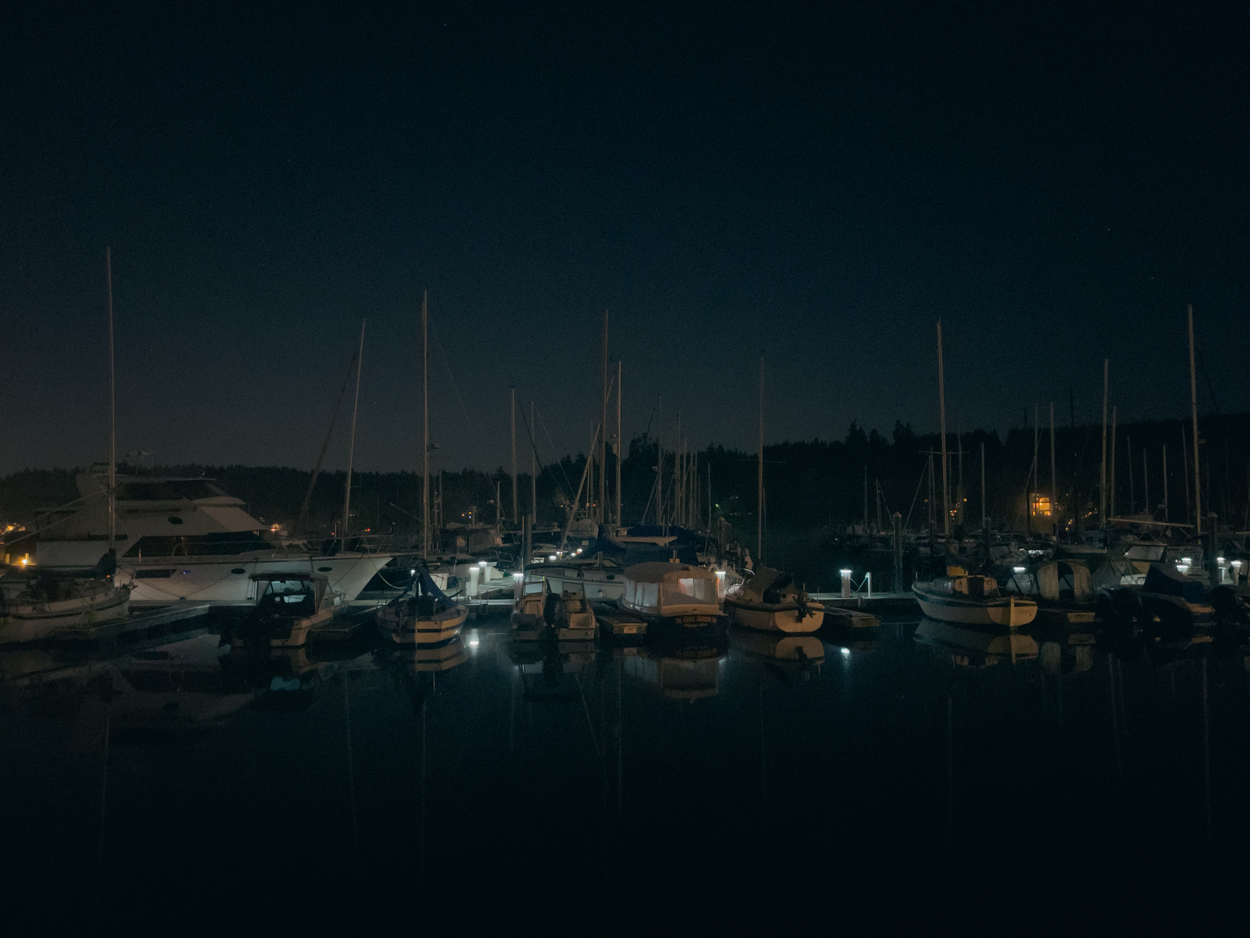Sailboats in the harbor at night.