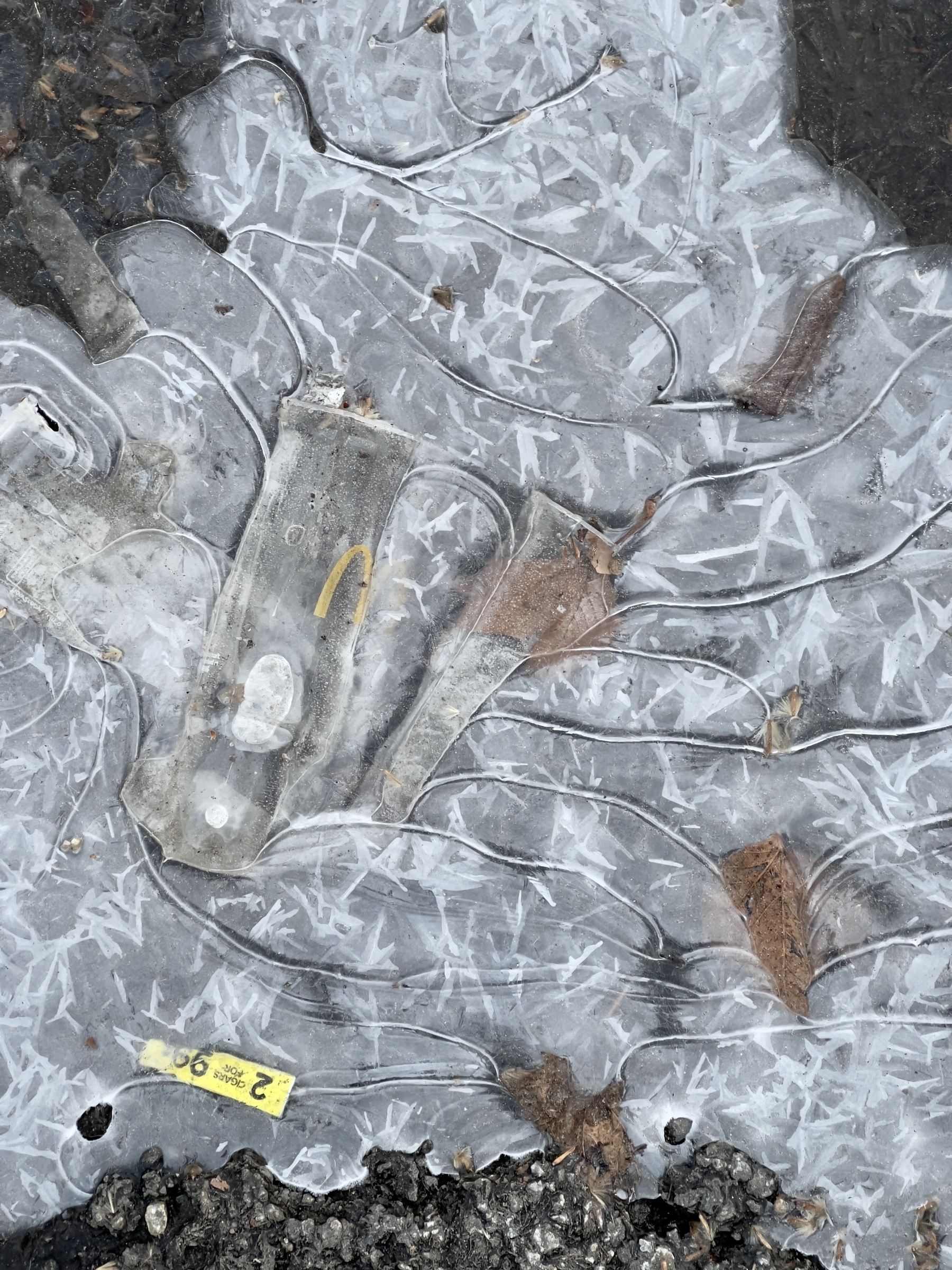 Closeup of ice patch with McDonald’s cup and price tag imbedded.