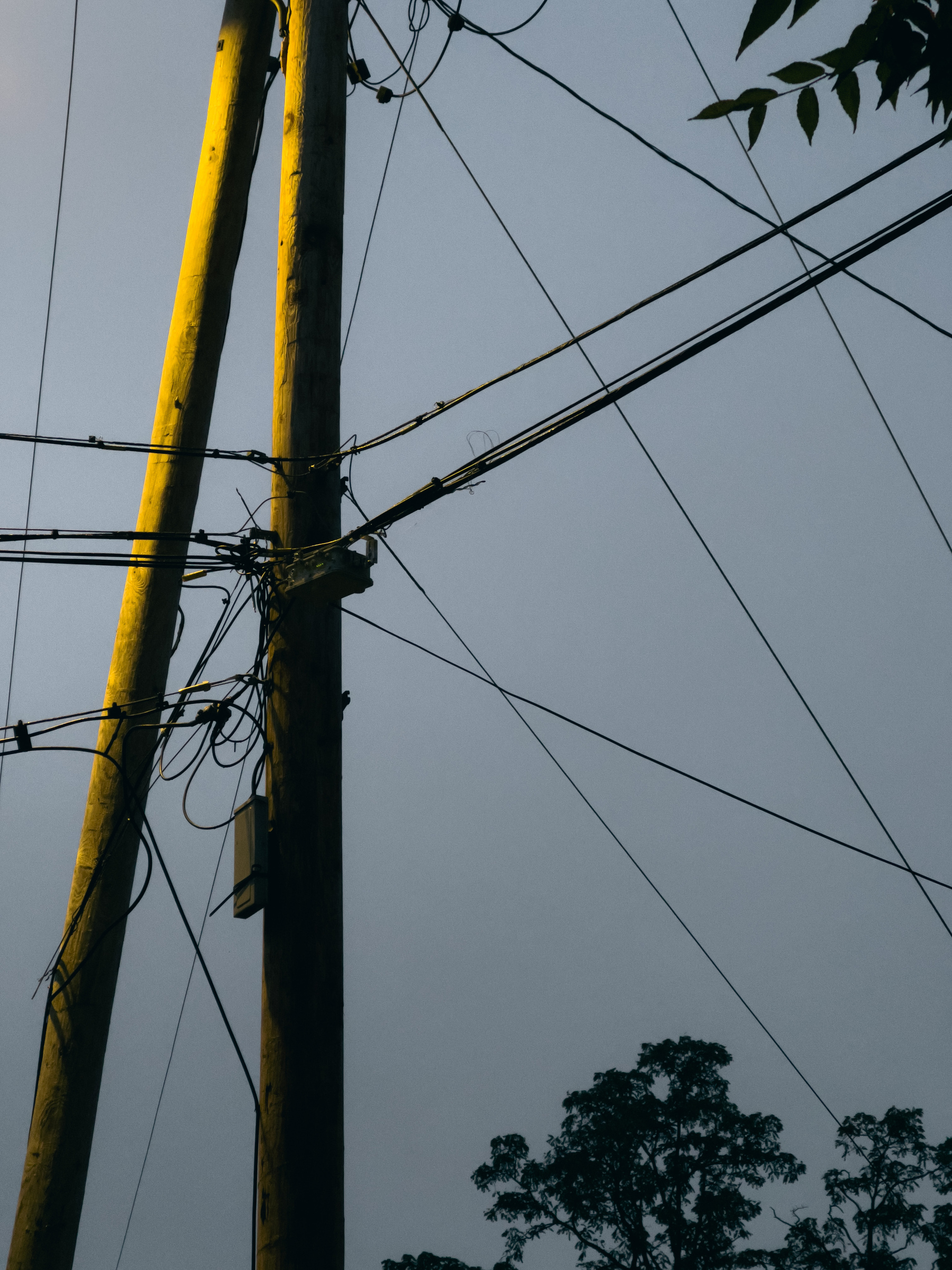 Utility pole with power and communication wires radiating out.