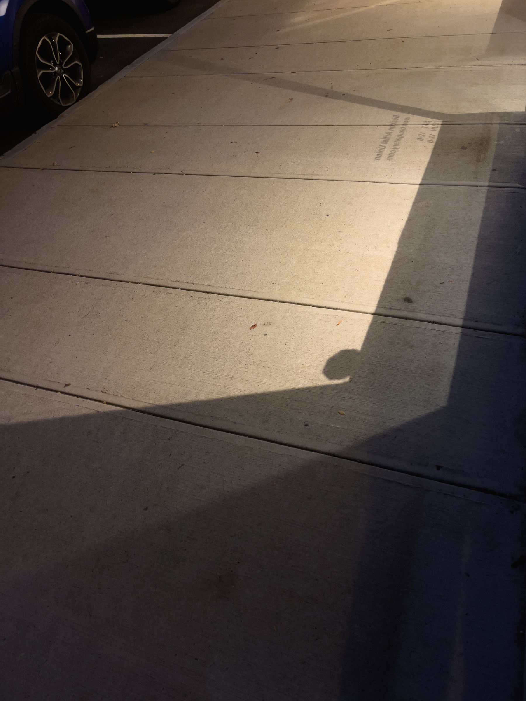 Light cast onto pavement from storefront.