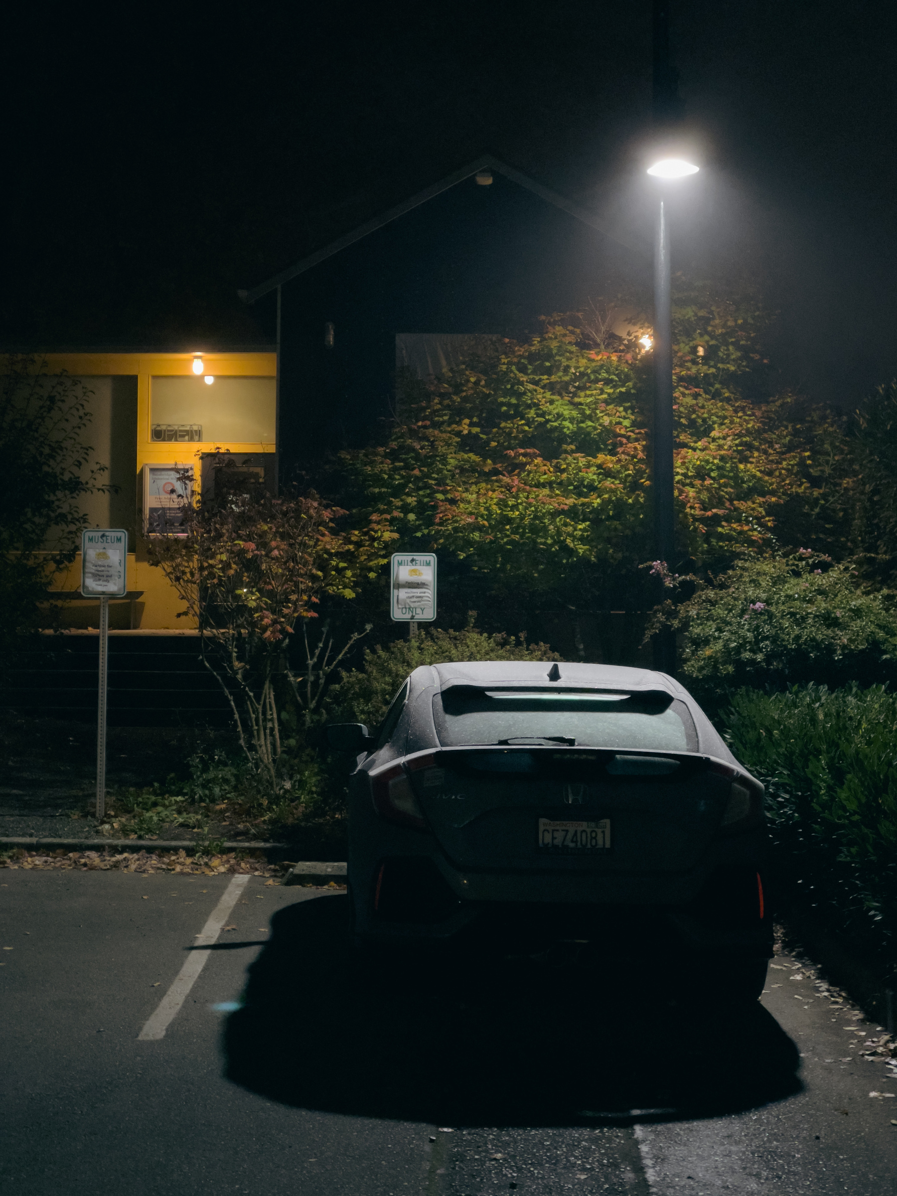 Car, streetlight and rear of building at night.