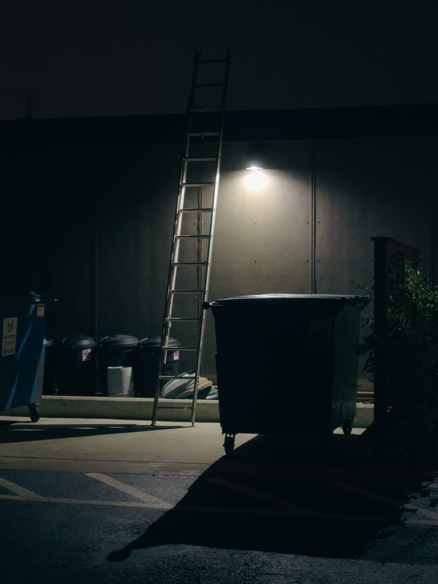 Backside of commercial building at night with ladder leaning against wall and trash bin silhouetted in foreground.