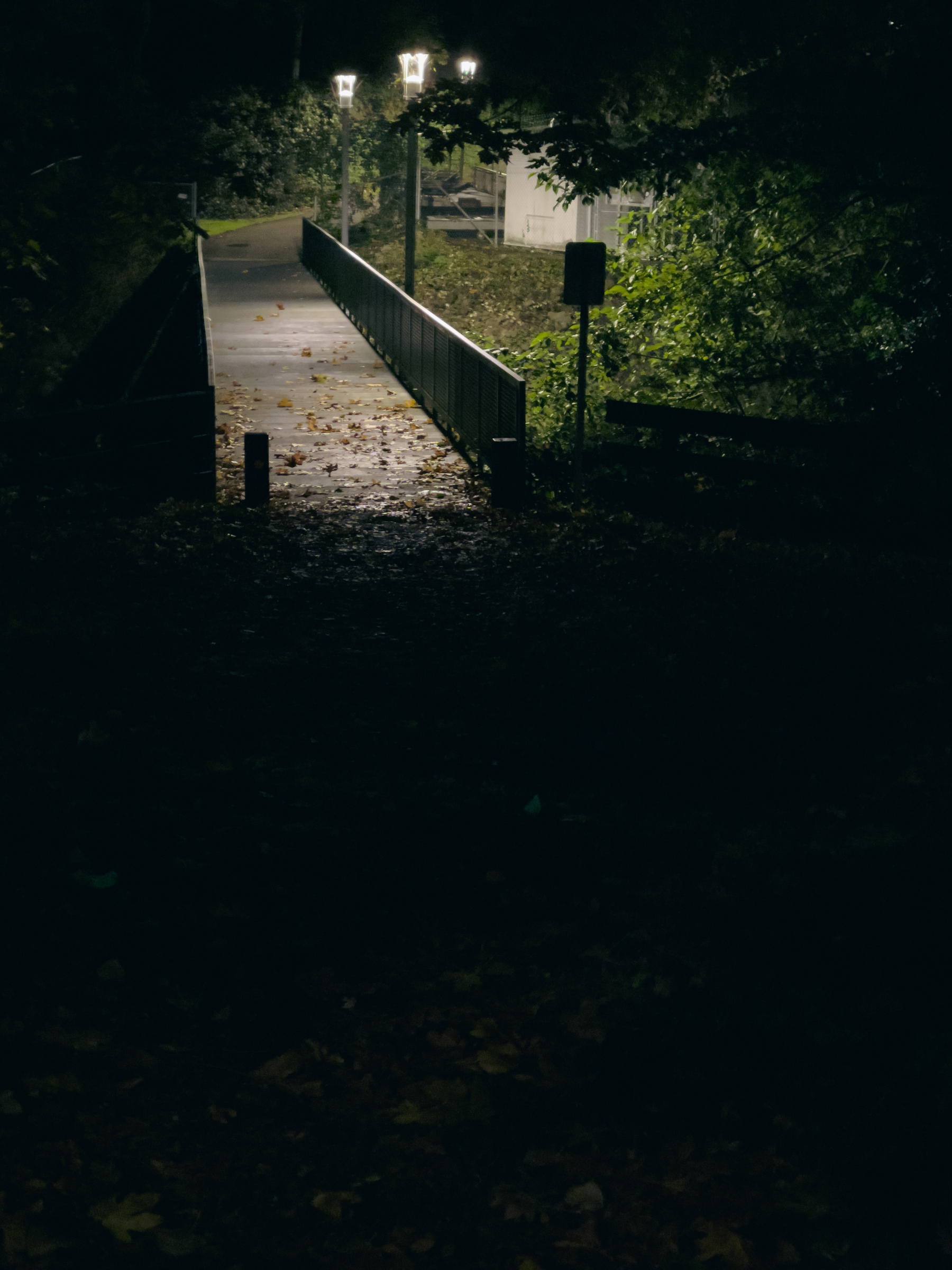 Footbridge illuminated in upper left corner of frame in otherwise deeply shadowed landscape.