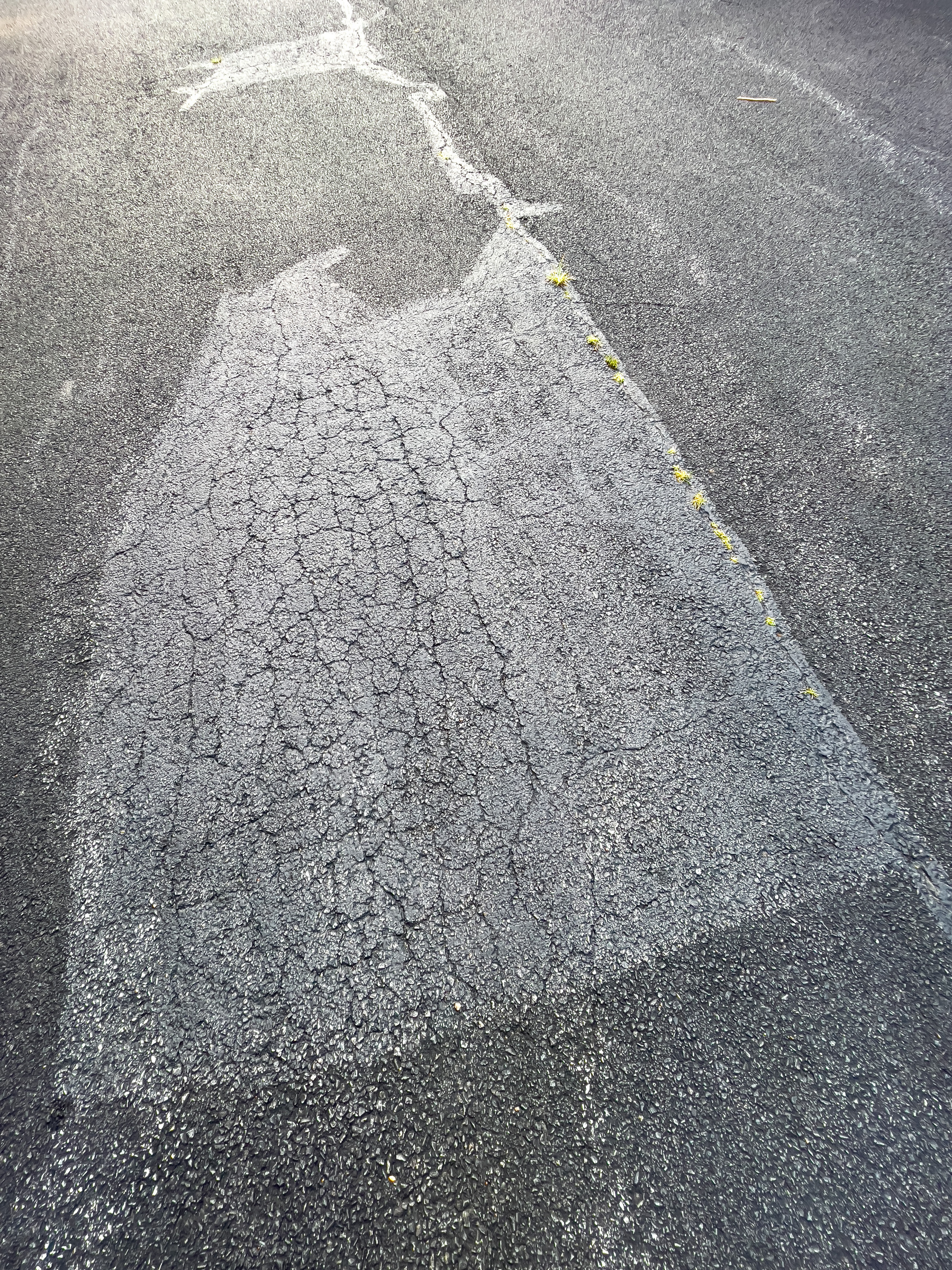 Patching shape on asphalt driveway.