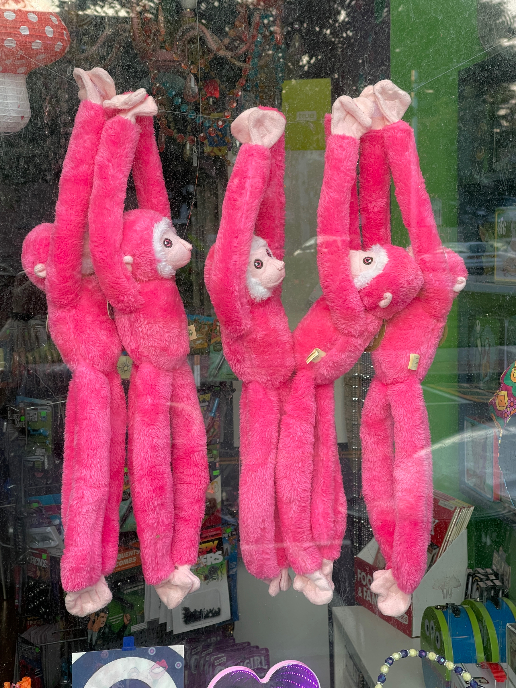 Five pink stuffed monkey dolls hanging by their wrists in a shop window.