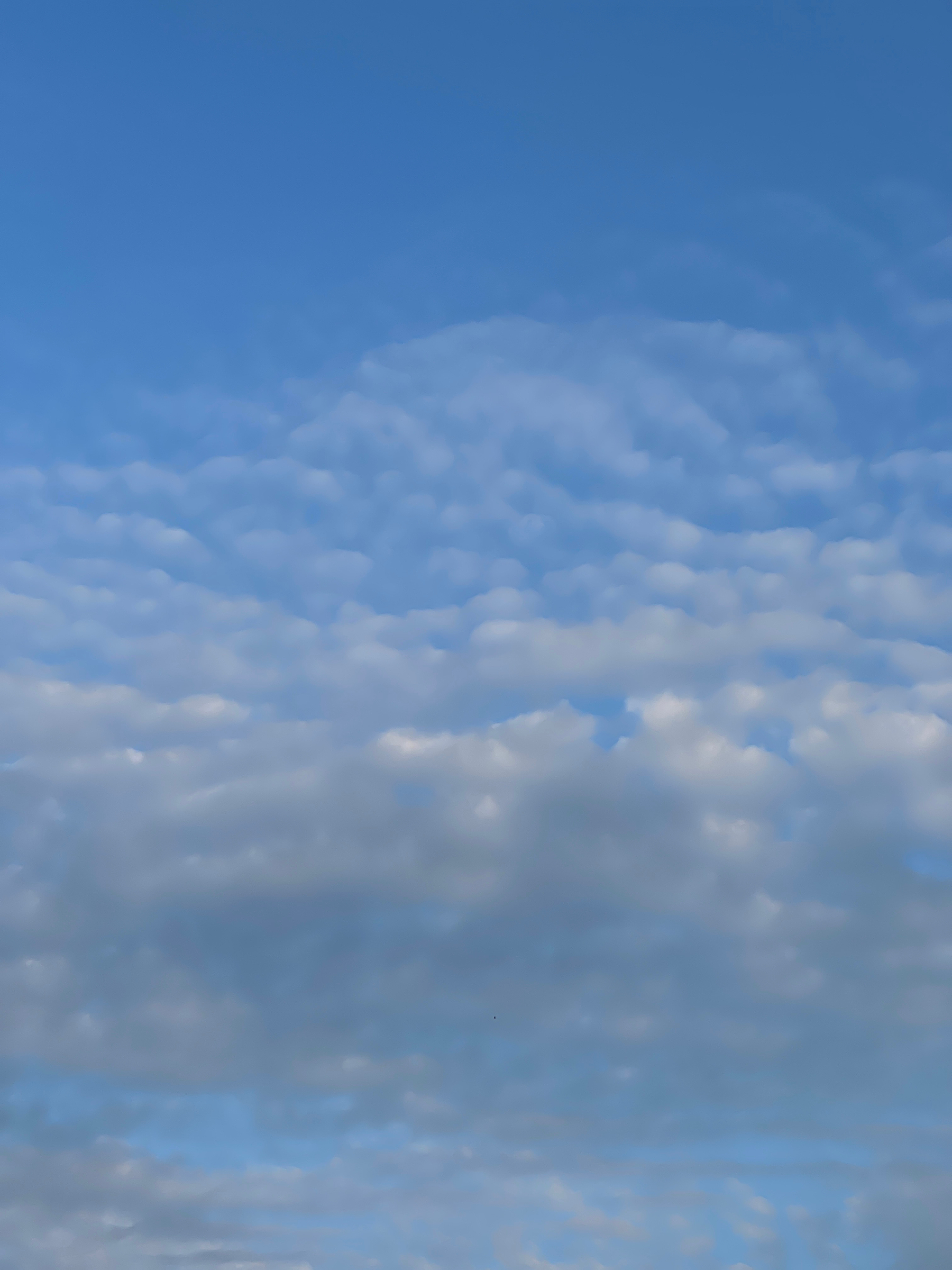 White mackerel clouds in a blue sky.