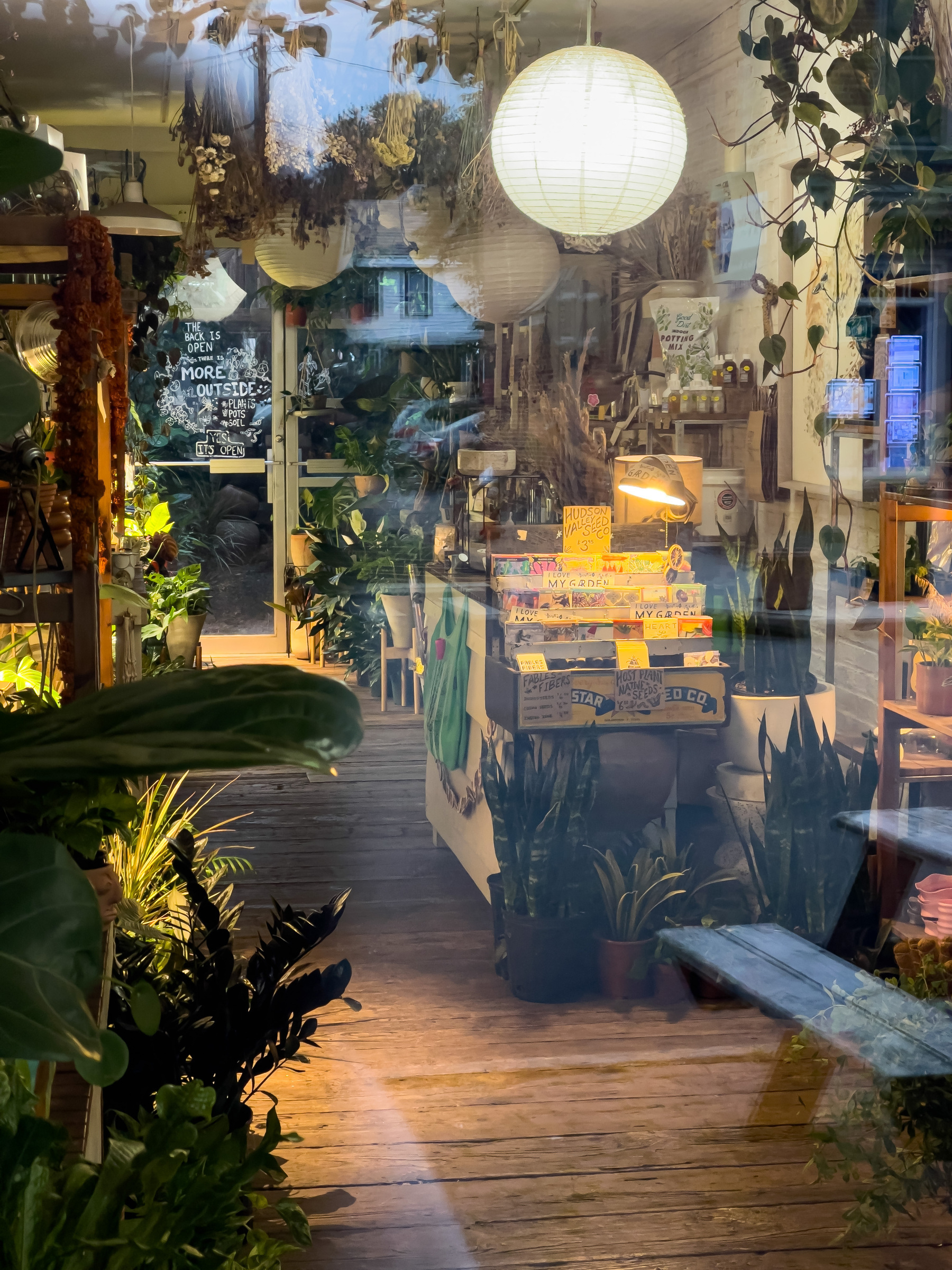 Plant and flower shop interior.