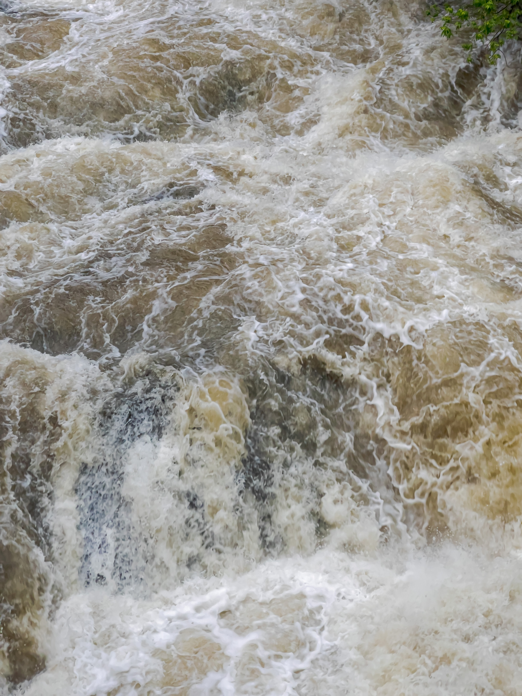 Rapids in creek swollen by rain.