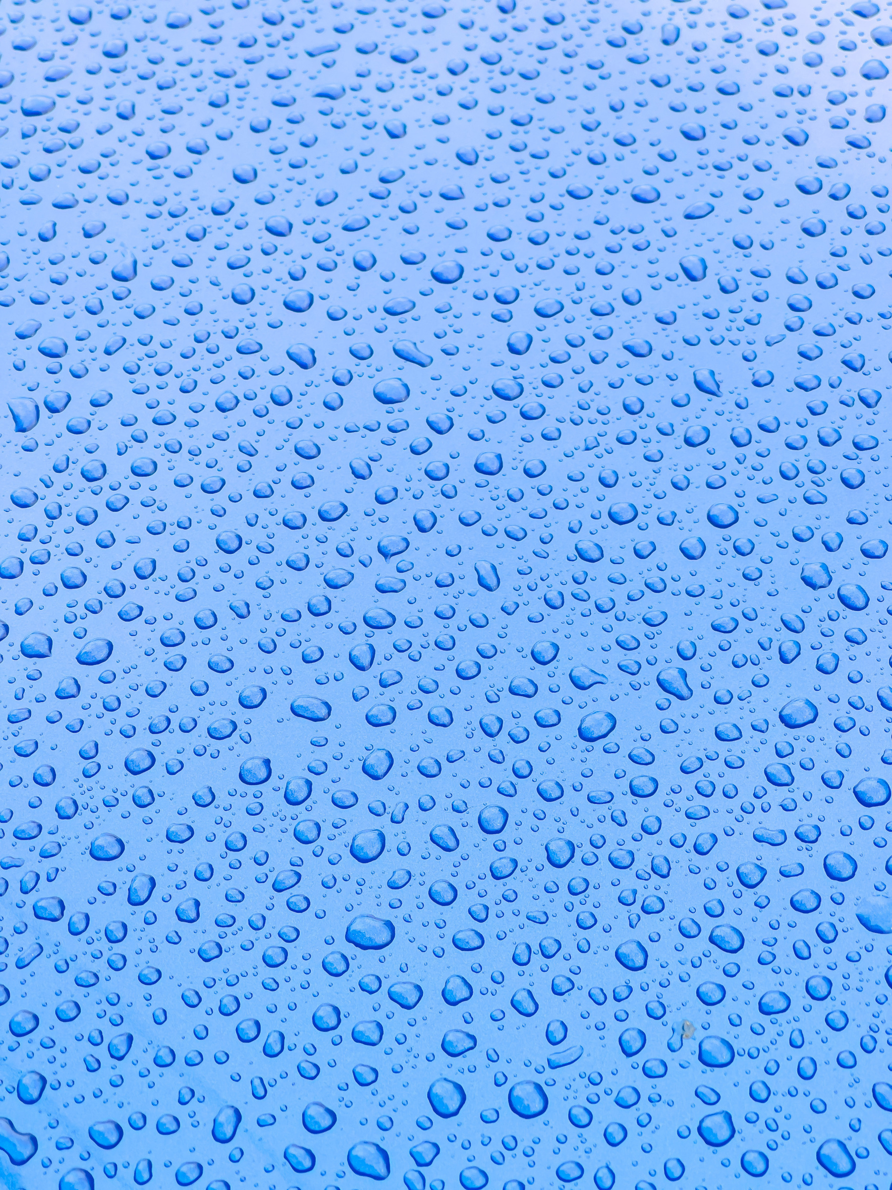 Water drops on blue car hood.