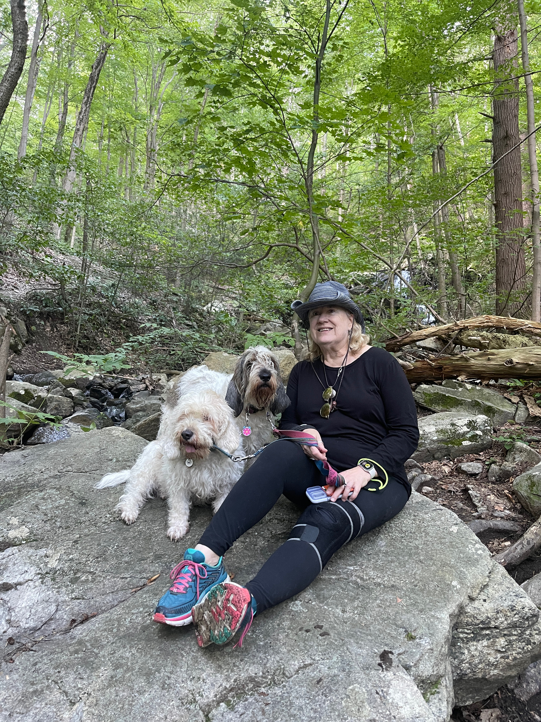 Woman and two dogs sitting on a boulder in a forest.