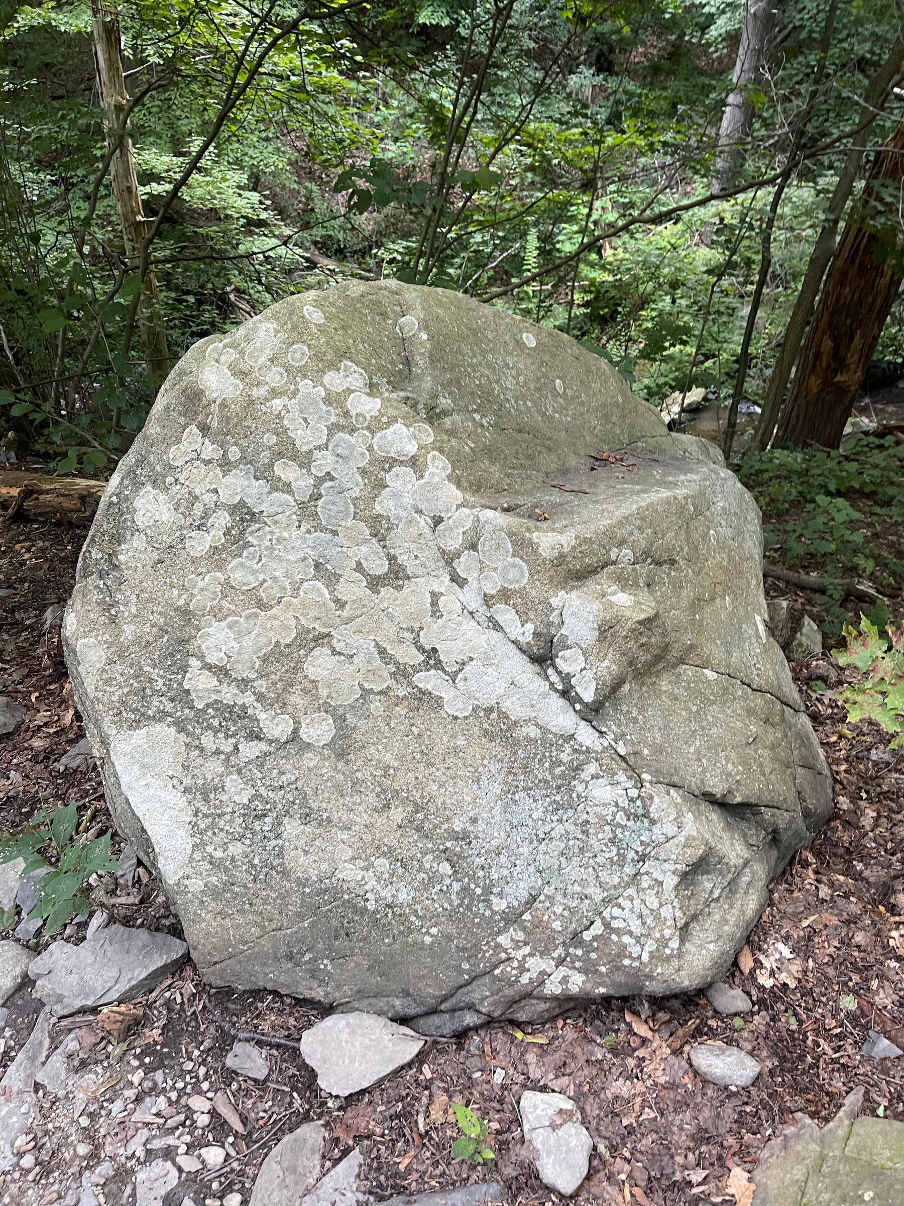 Boulder with lichen.