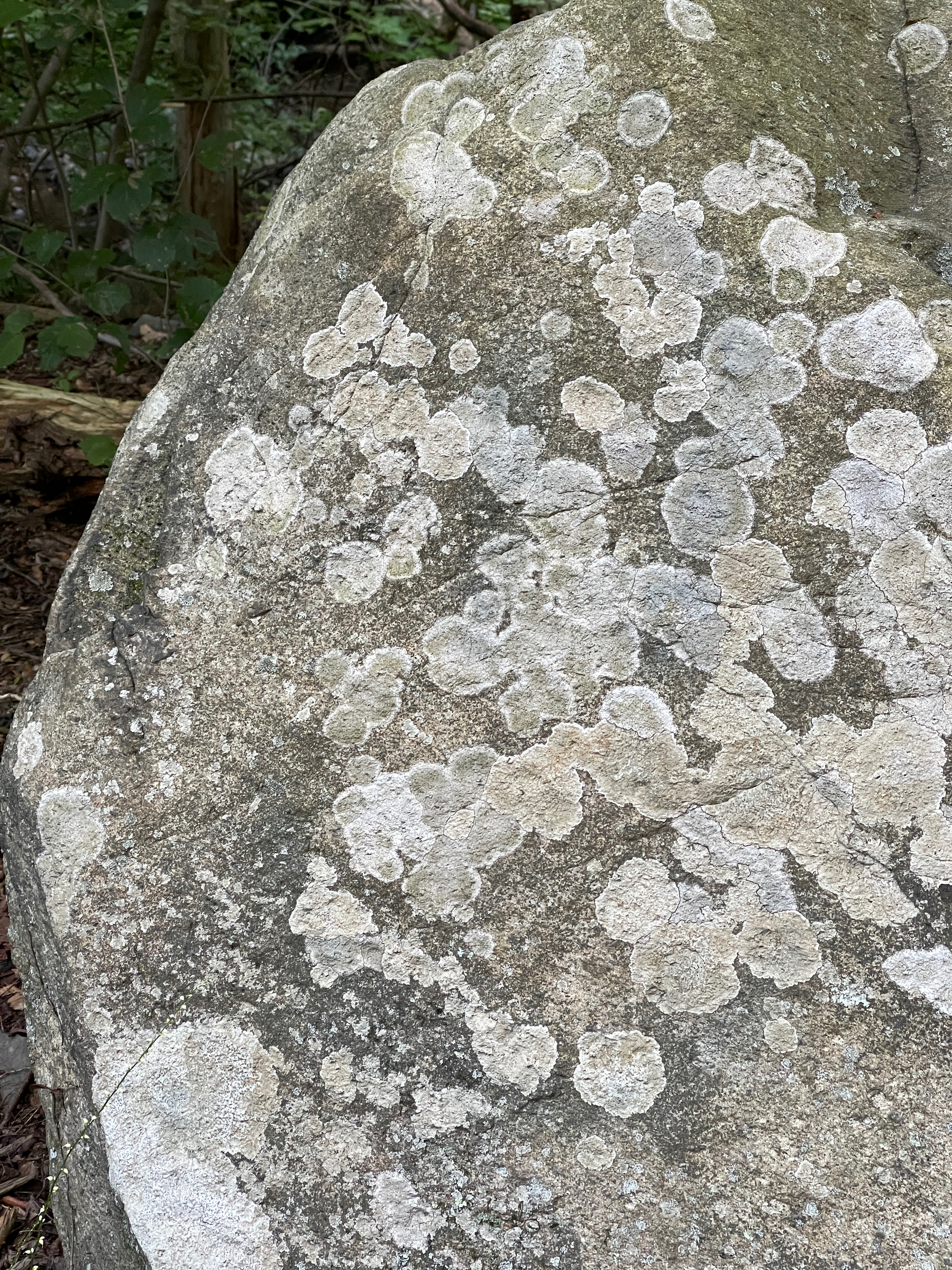 Closeup of boulder with lichen.