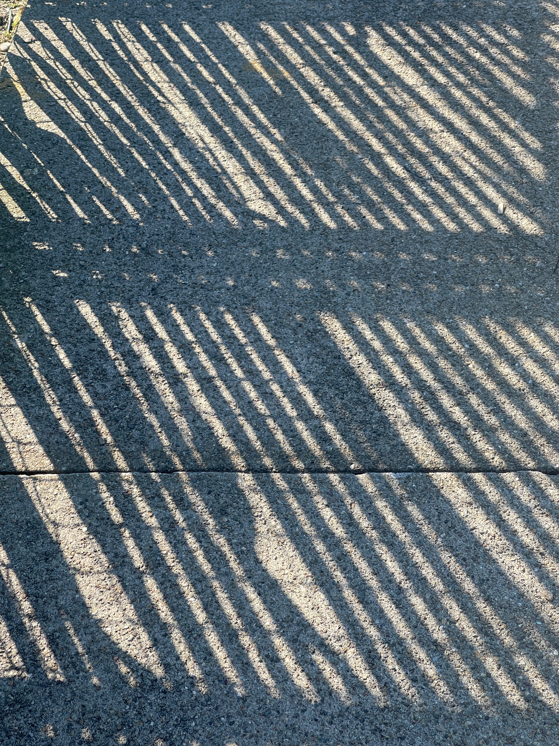 Shadows from a fence on concrete sidewalk.