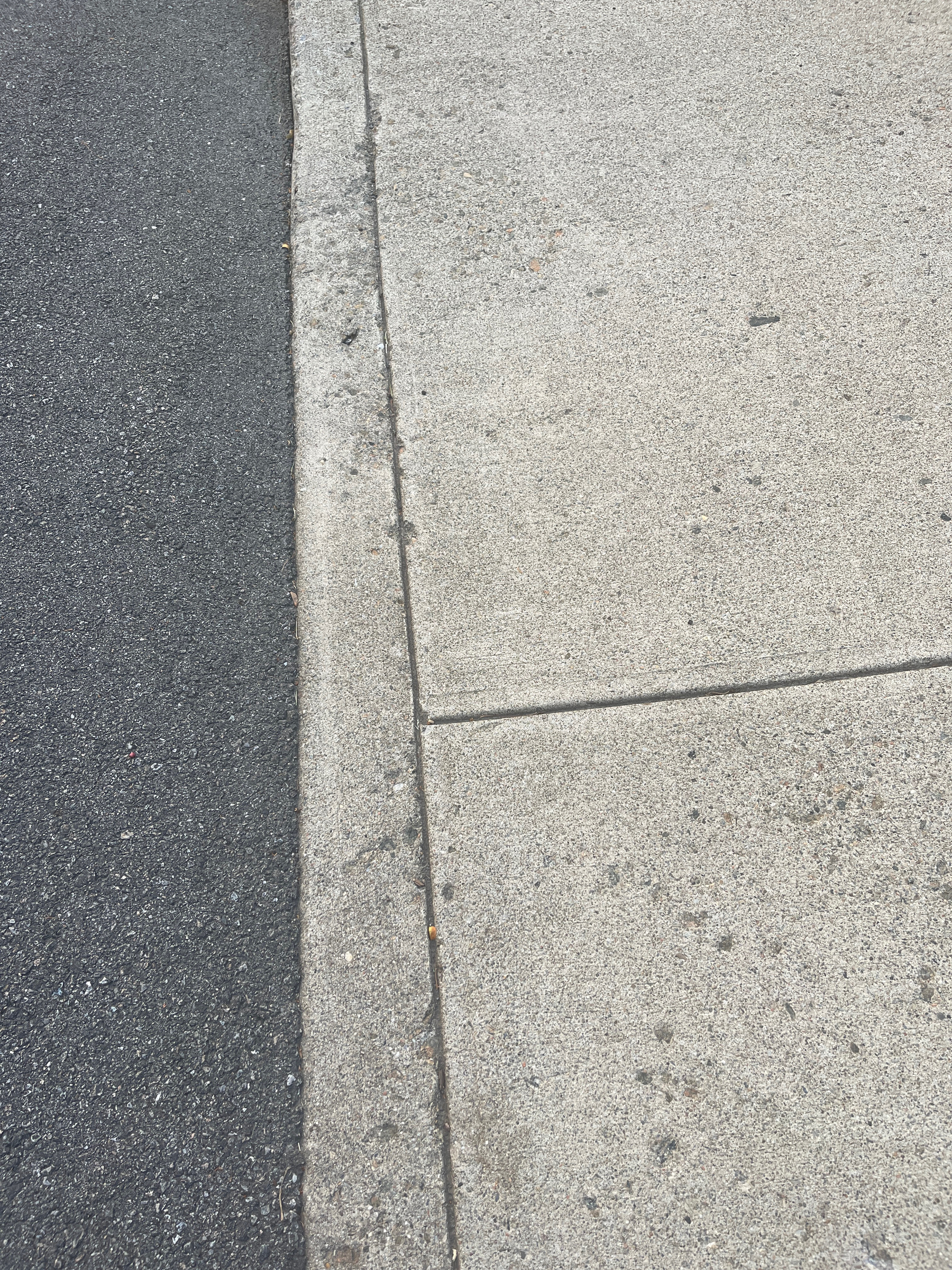Line between asphalt on the left and concrete sidewalk on the right, line runs from top to bottom of frame and there are joints in the concrete, one running parallel to the asphalt/concrete dividing line and the other running perpendicular about 1/3 of frame from bottom.