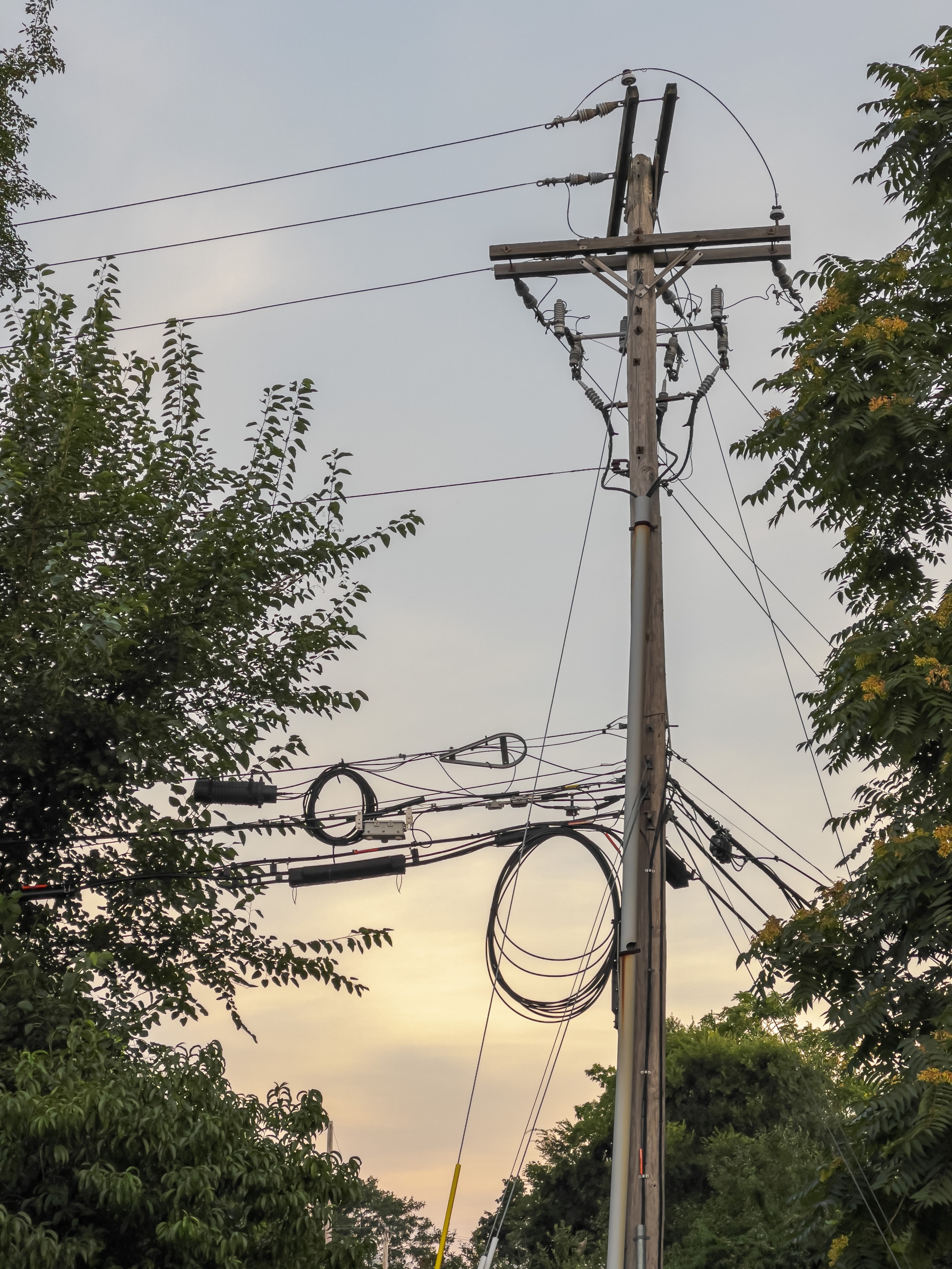 wires and utility pole with trees on either side