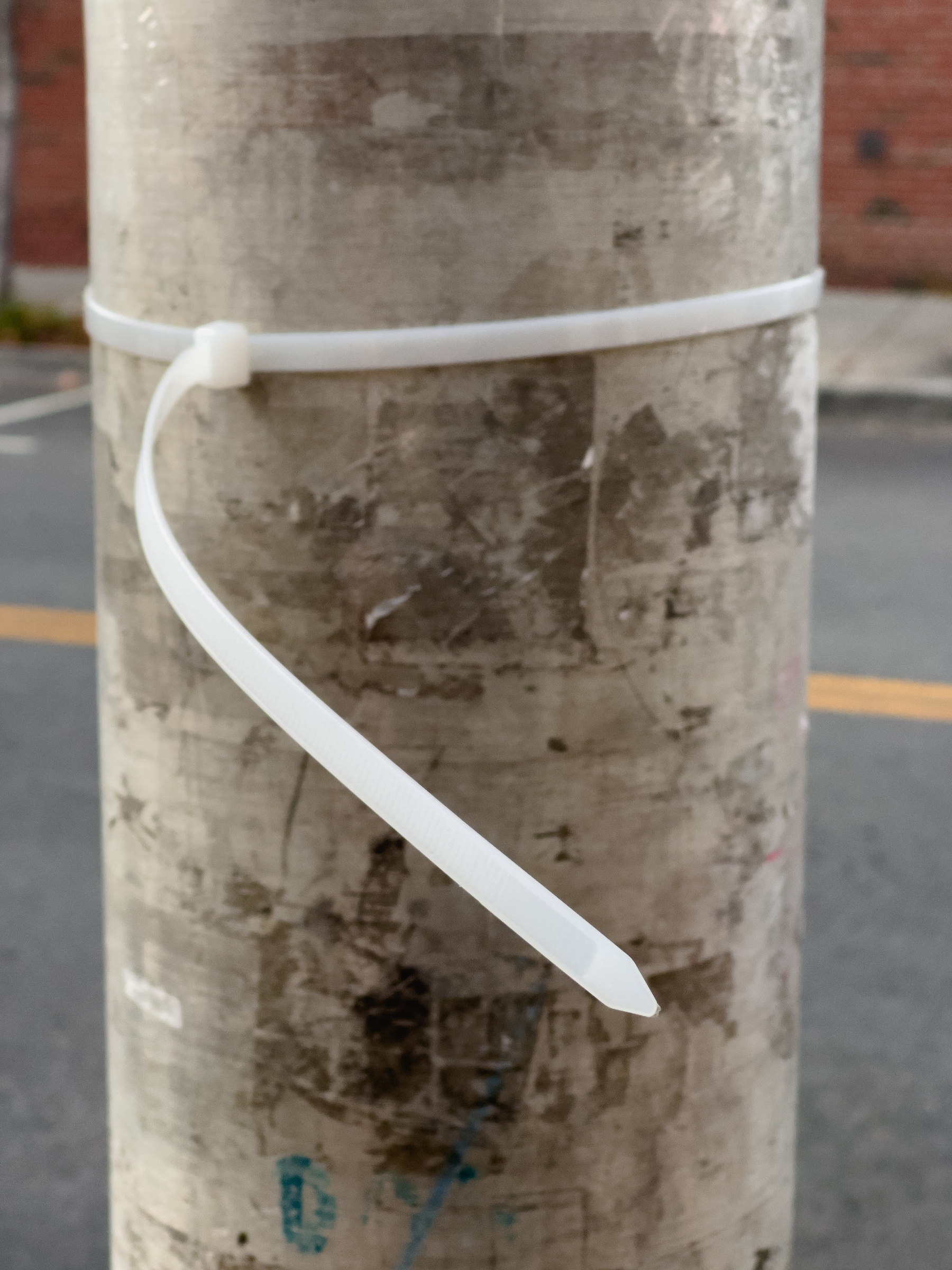 Closeup of white zip tie on metal utility pole.