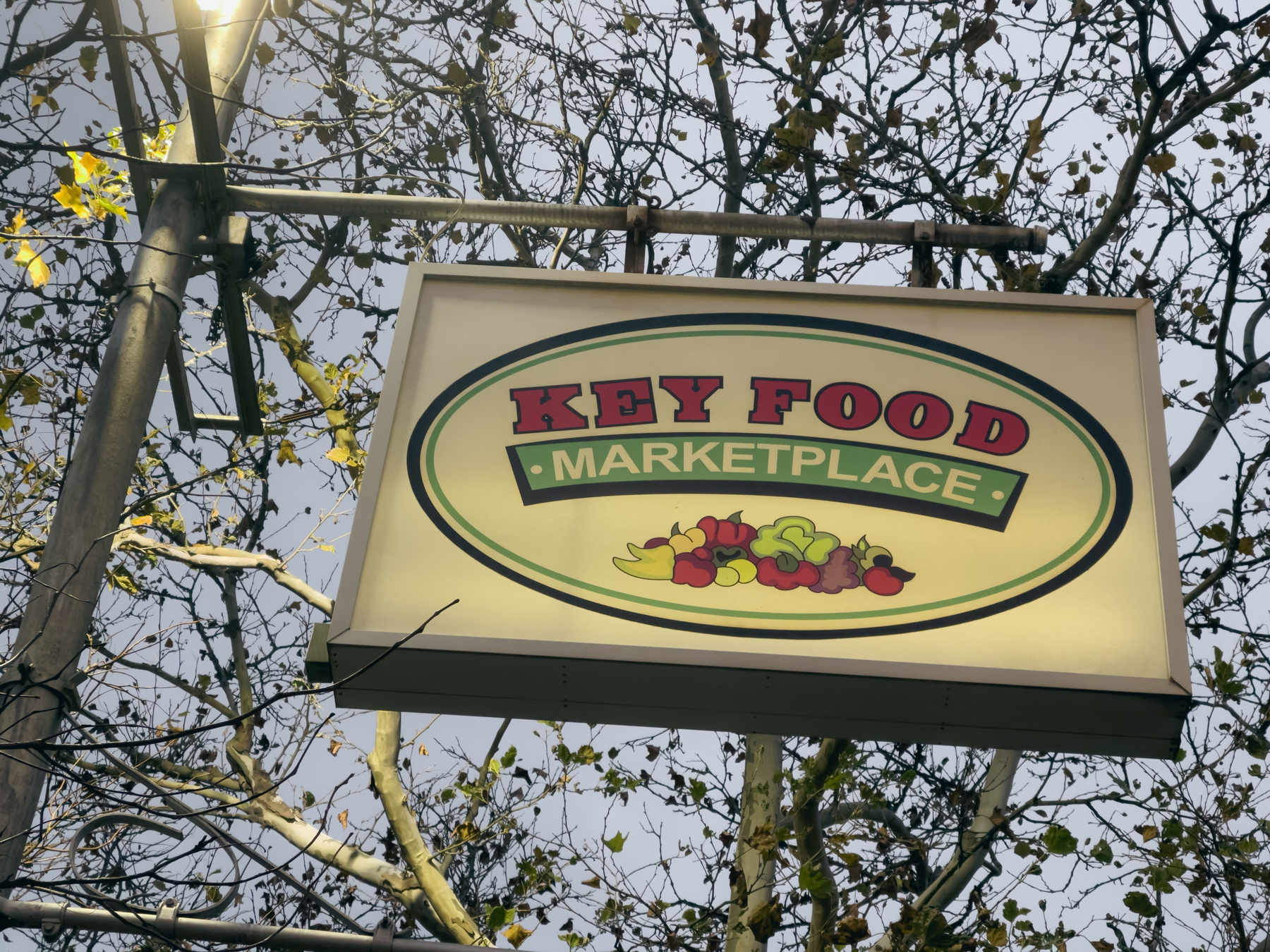 Key Food Marketplace sign hanging from utility pole with tree branches in background.