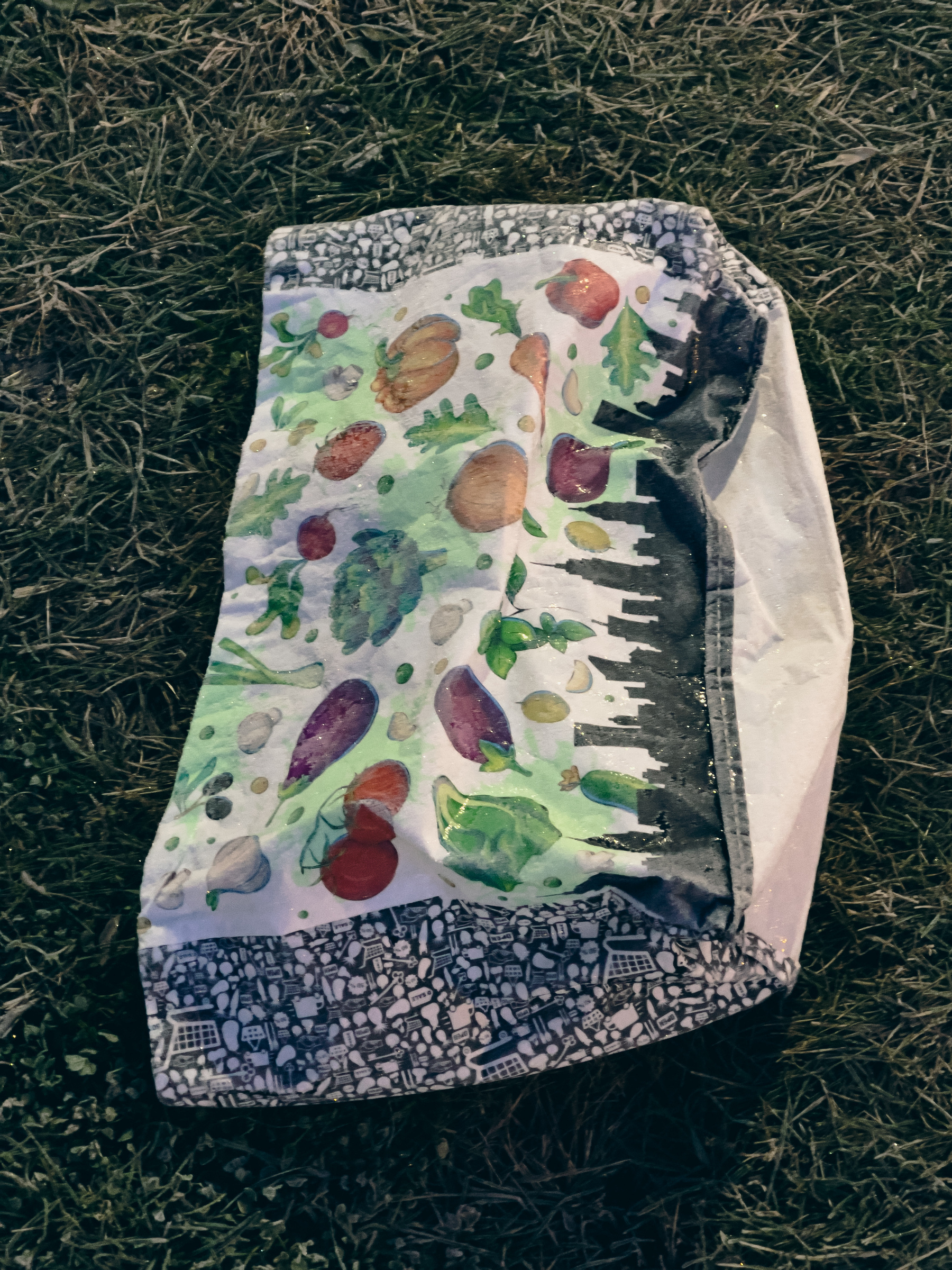 Colorful shopping bag with vegetables and leaves print and city skyline print on frost covered grass.
