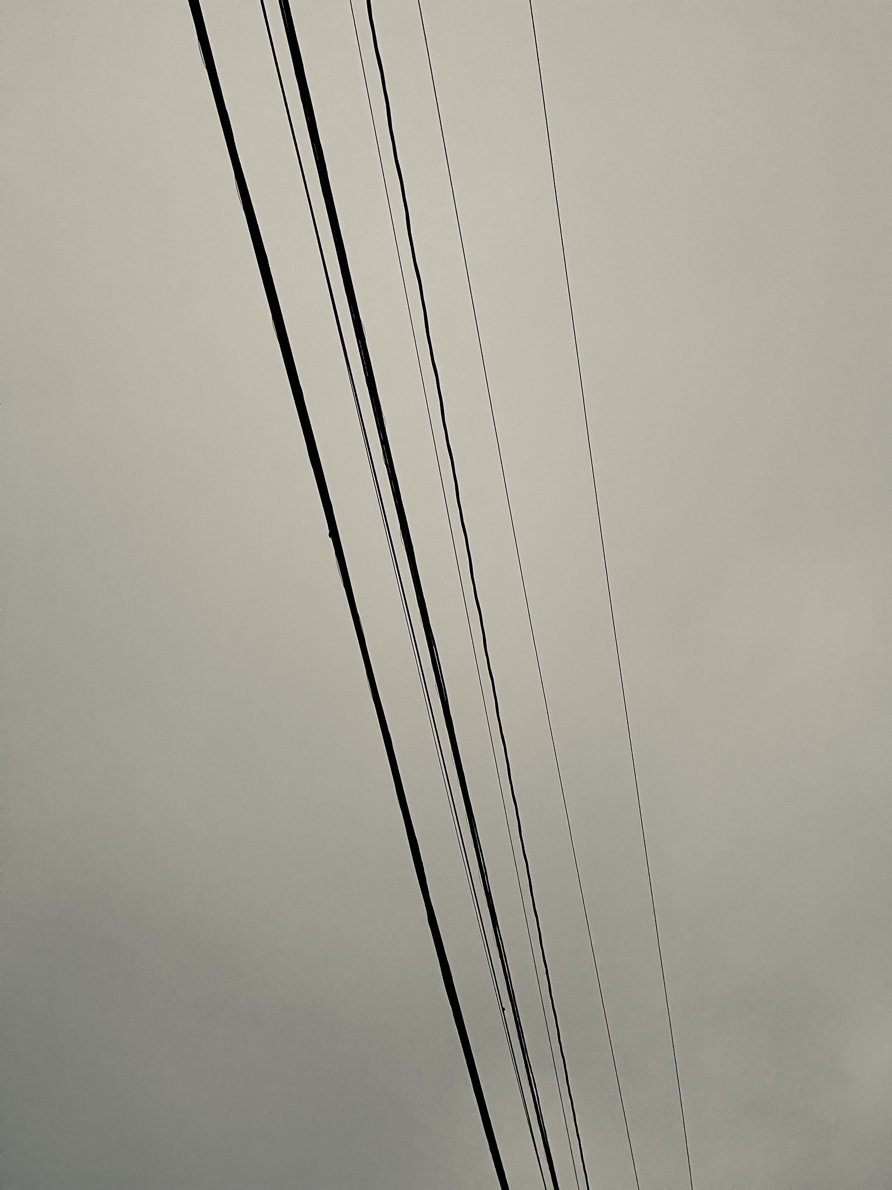 Wires against a cloudy sky, running from bottom right of center to top left of center.
