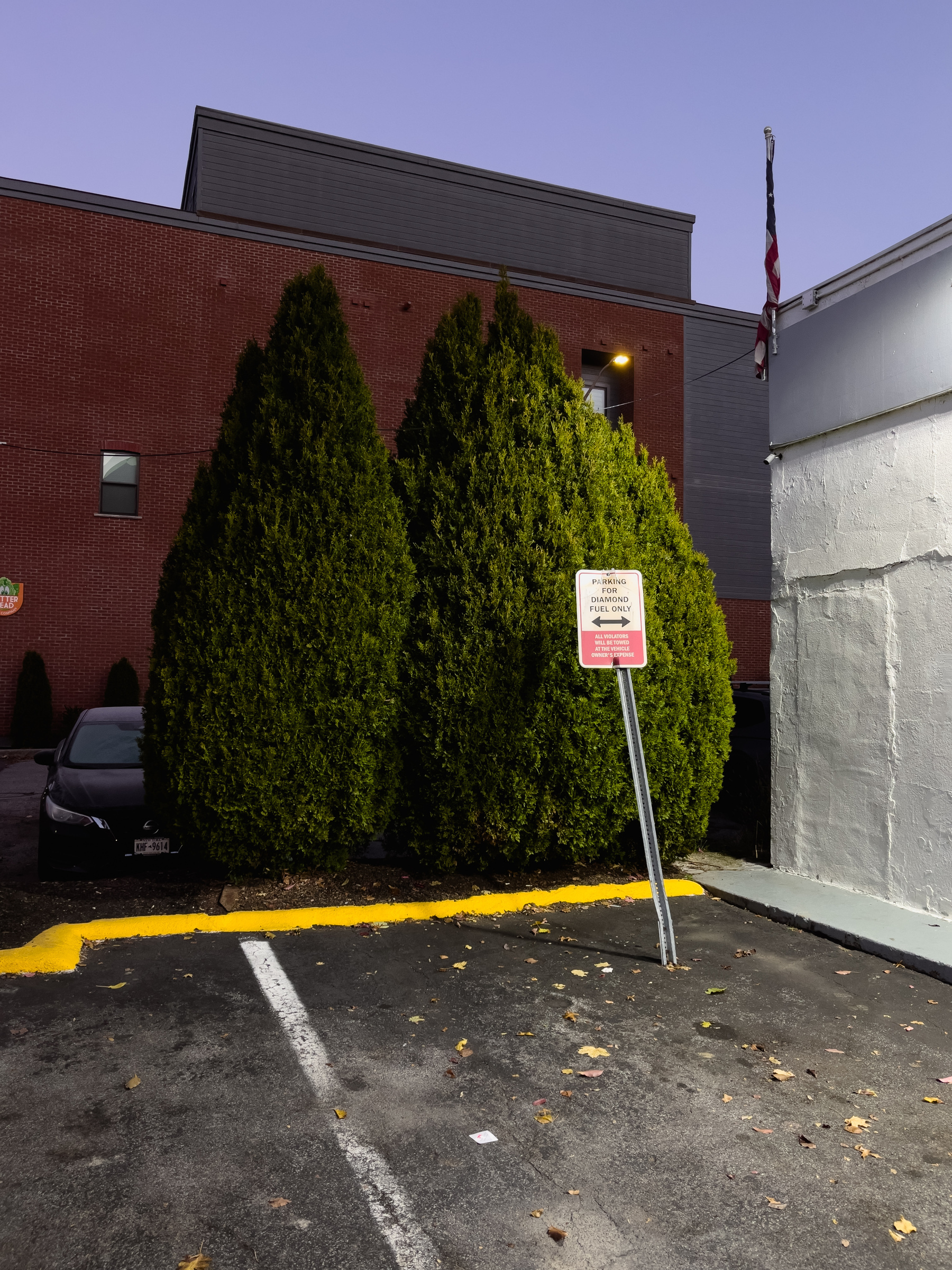 Corner of parking area framed by yellow painted curb, wall of building on right, two evergreen shrubs in middle, with signage on a post providing information about the parking spaces.