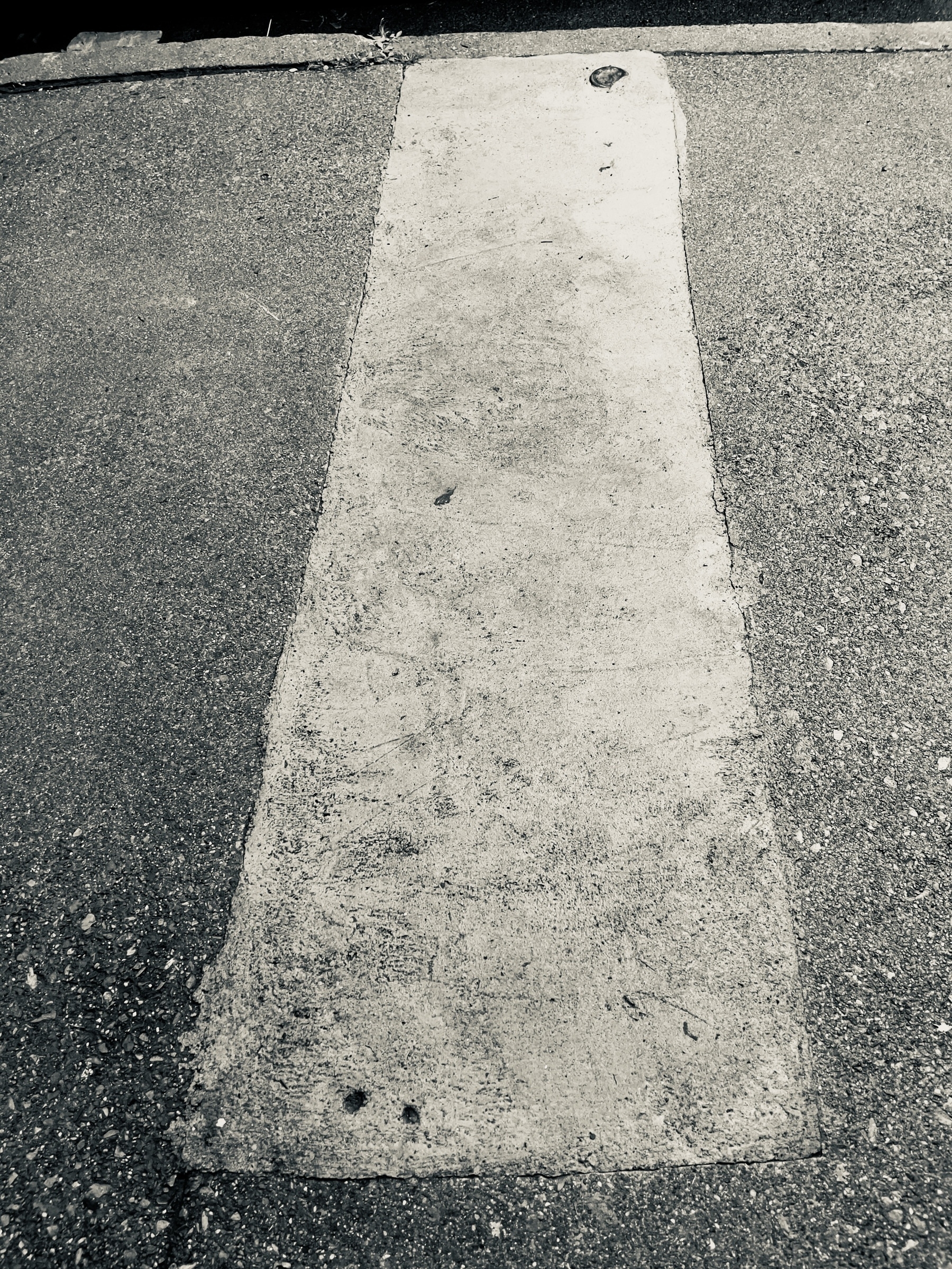 Elongated rectangular patch in concrete sidewalk running from top to bottom of frame. A primitive vibe to the shape and scene.