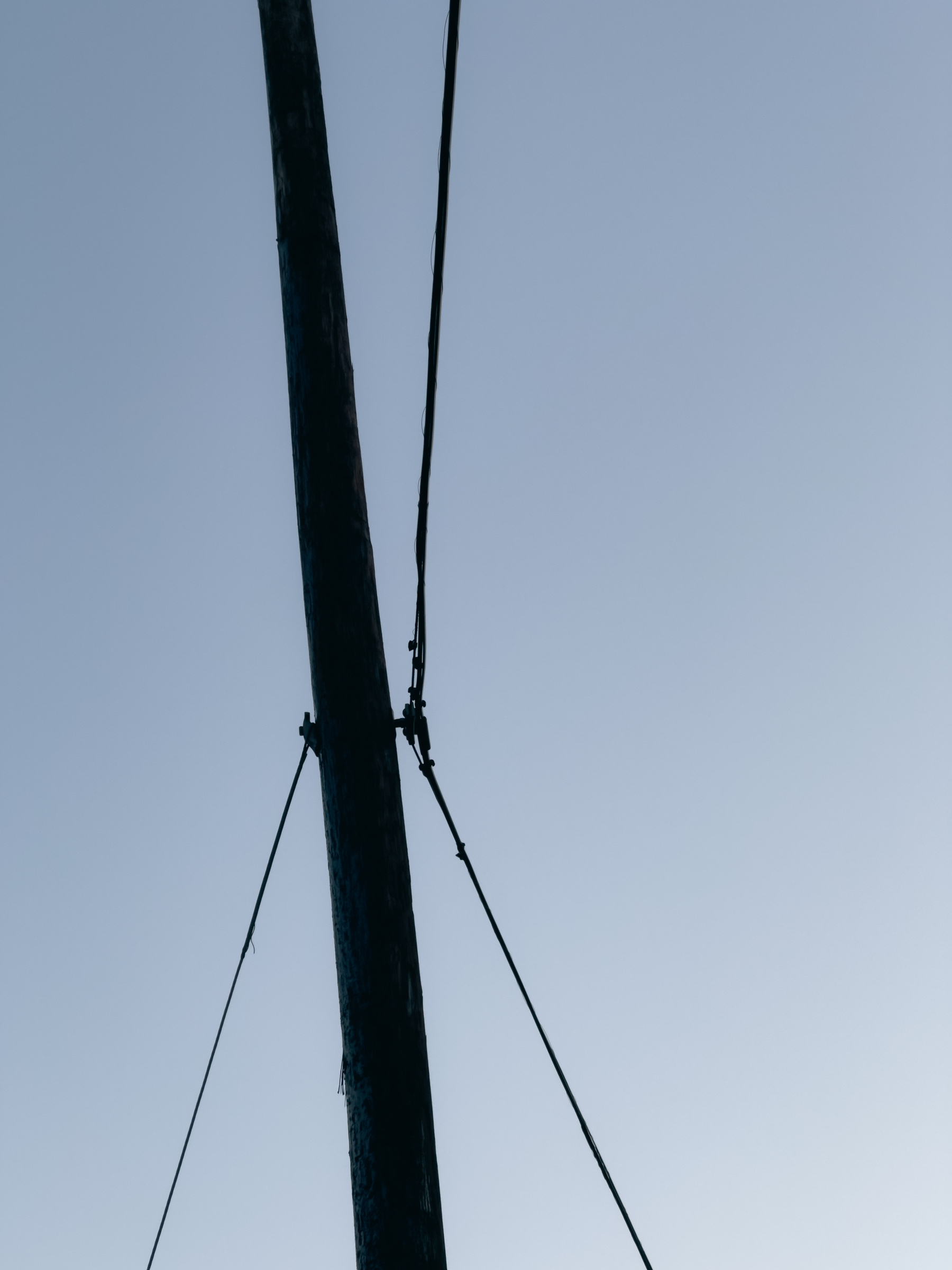 Utility pole with wires running from bottom to top of frame and silhouetted against the early morning sky.