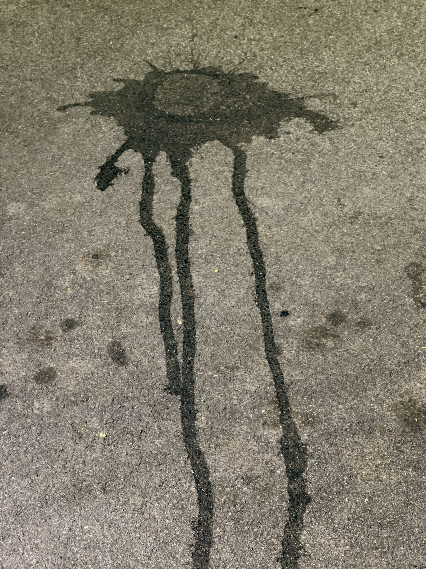 Liquid stain on asphalt pavement, streams running down from it.