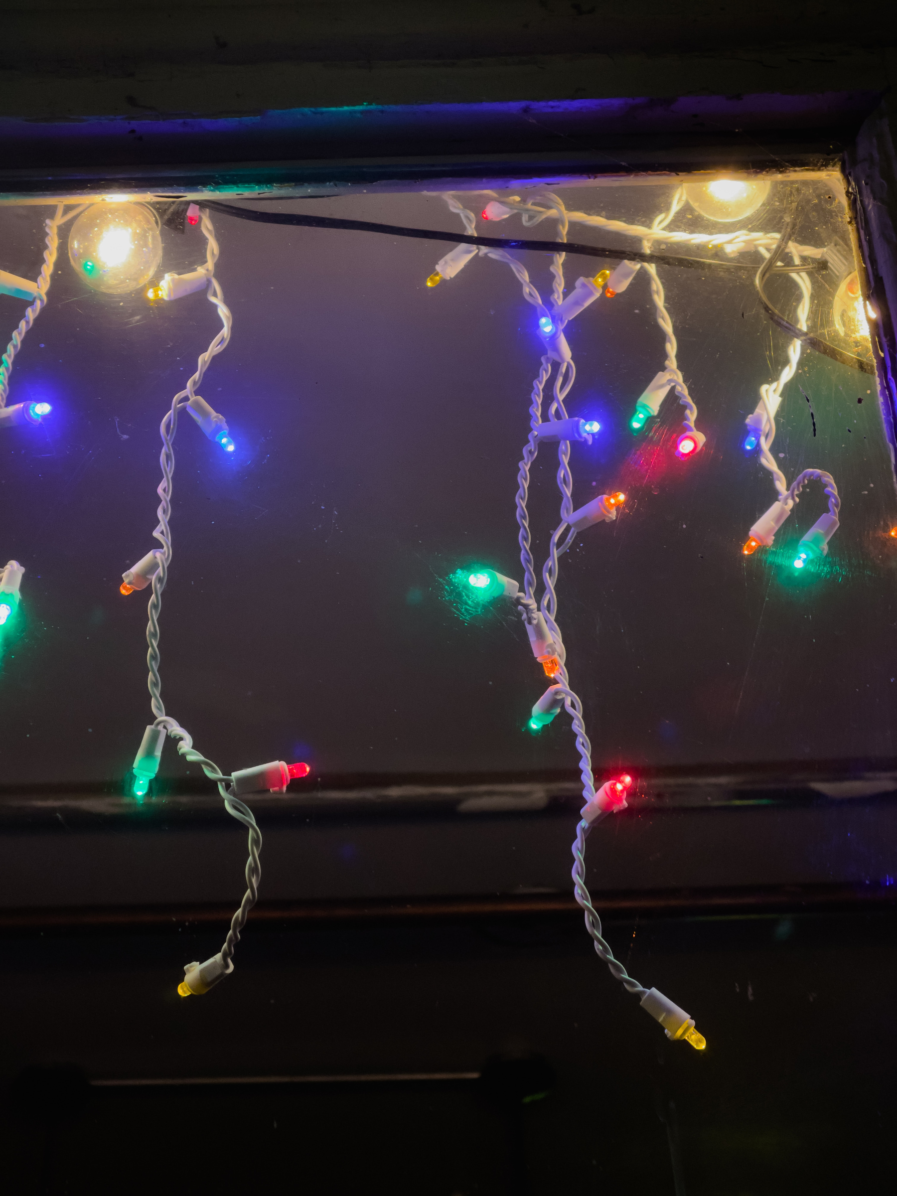Christmas lights dangling in a shop window at night.