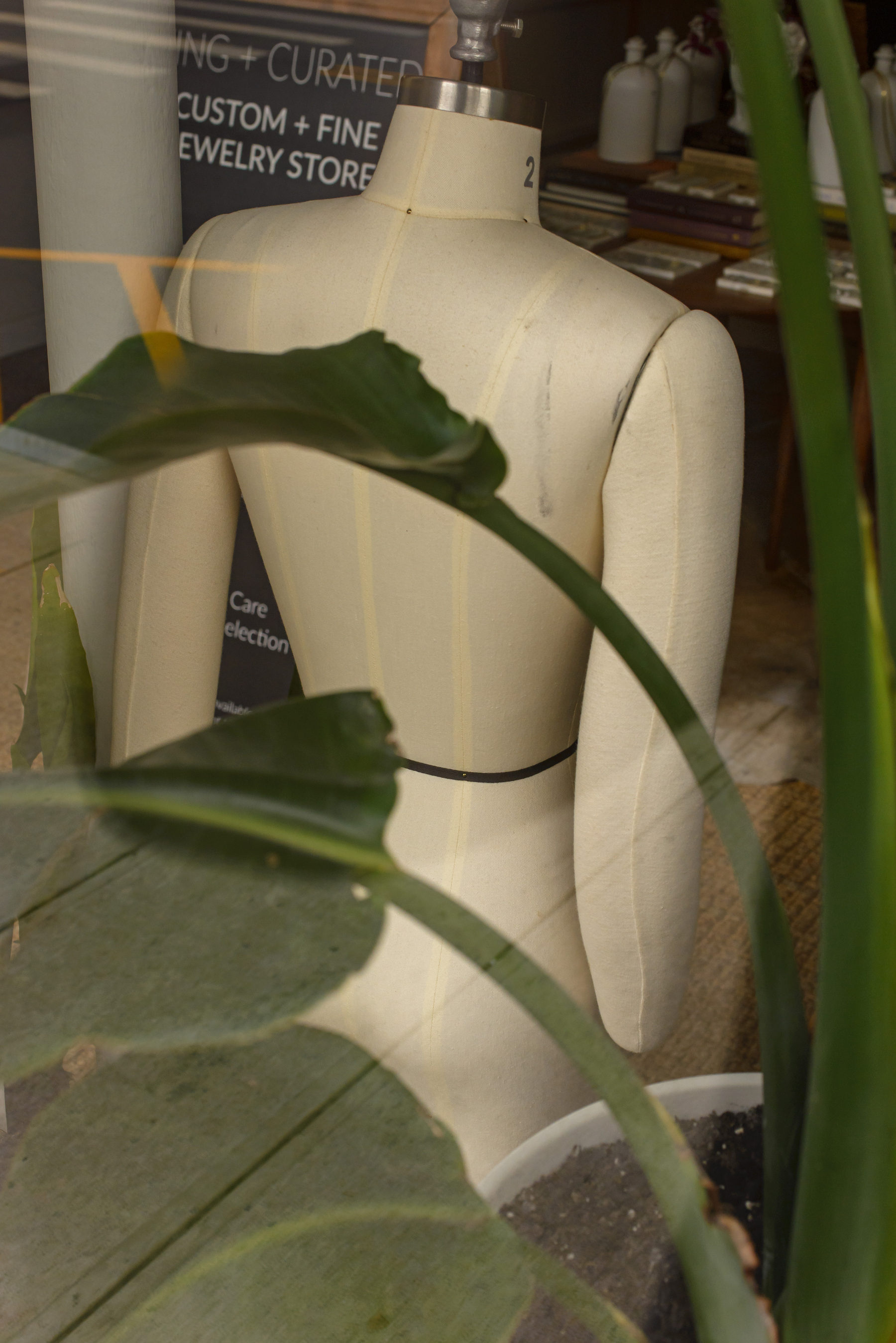 Back of a mannequin in a shop window with elephant ear plant in front of it. 