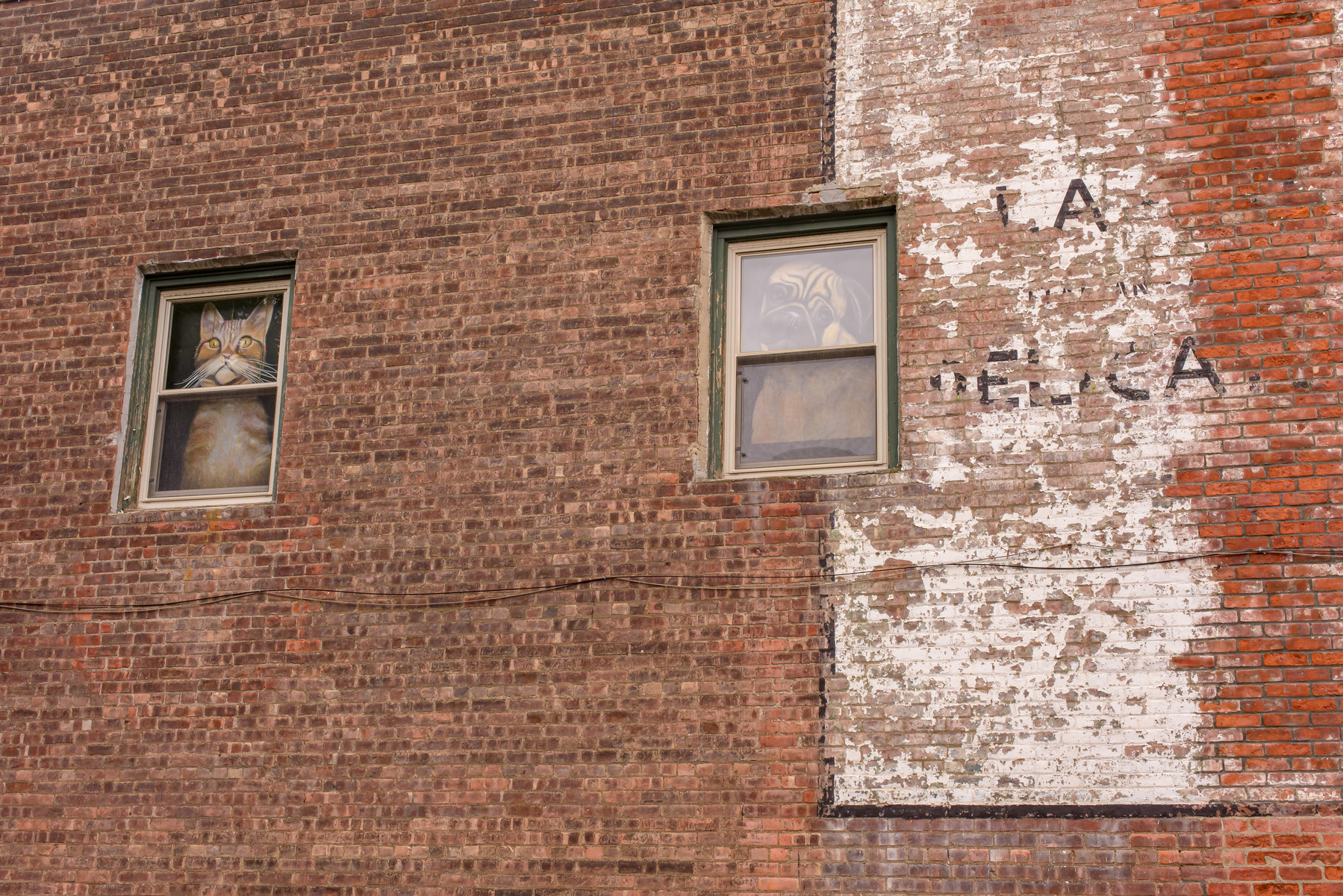 brick building wall with two windows, the one on the left with a cat photograph hung on the inside, the one on the right with a dog image hung on the inside and a faded painted sign running from top to bottom on the right third of the frame