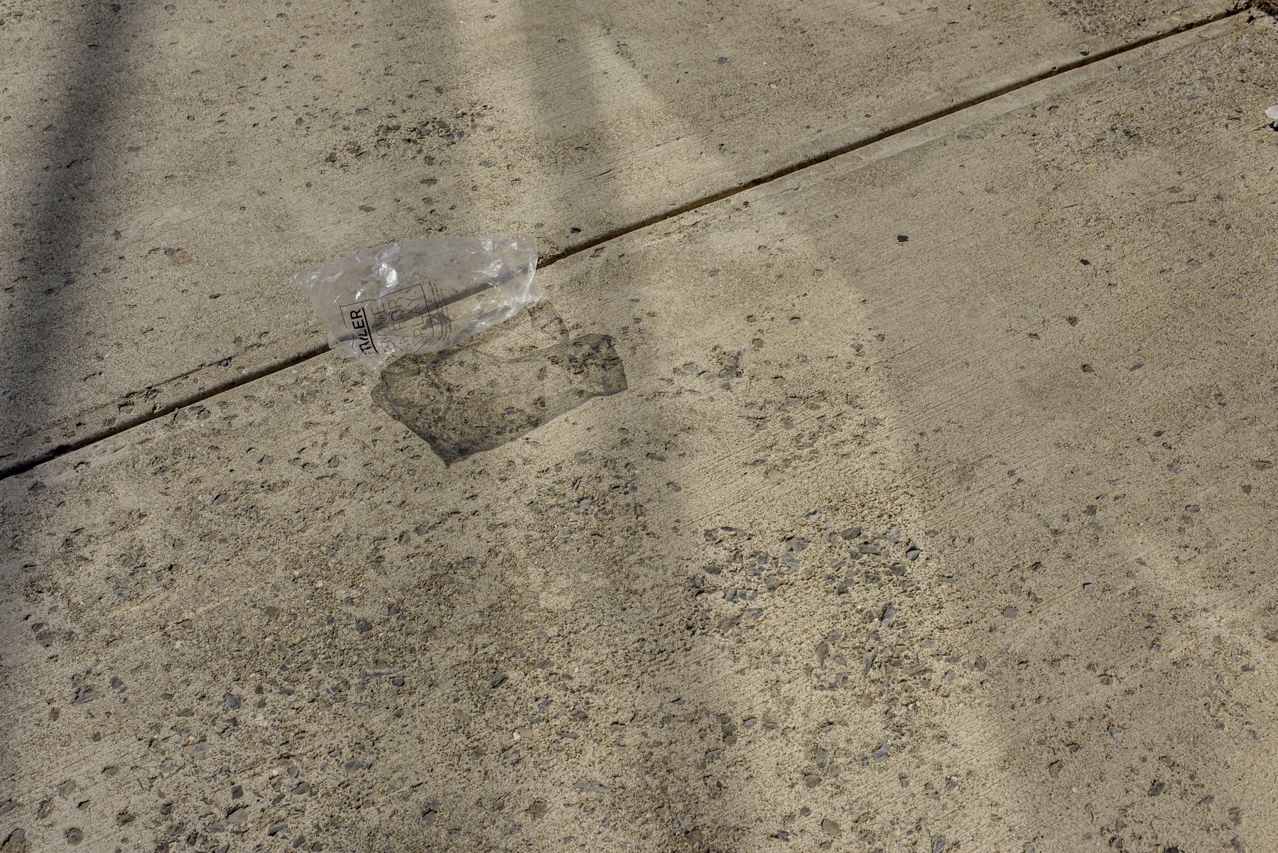 Plastic bag on concrete sidewalk in early morning sun. Complex shadow pattern cat by the bag. Bag being blown around.