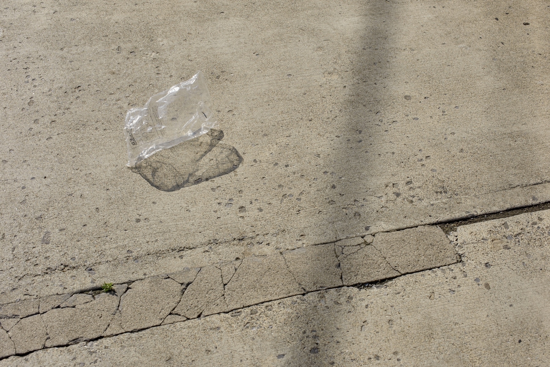 Plastic bag on concrete sidewalk in early morning sun. Complex shadow pattern cat by the bag. Bag being blown around.