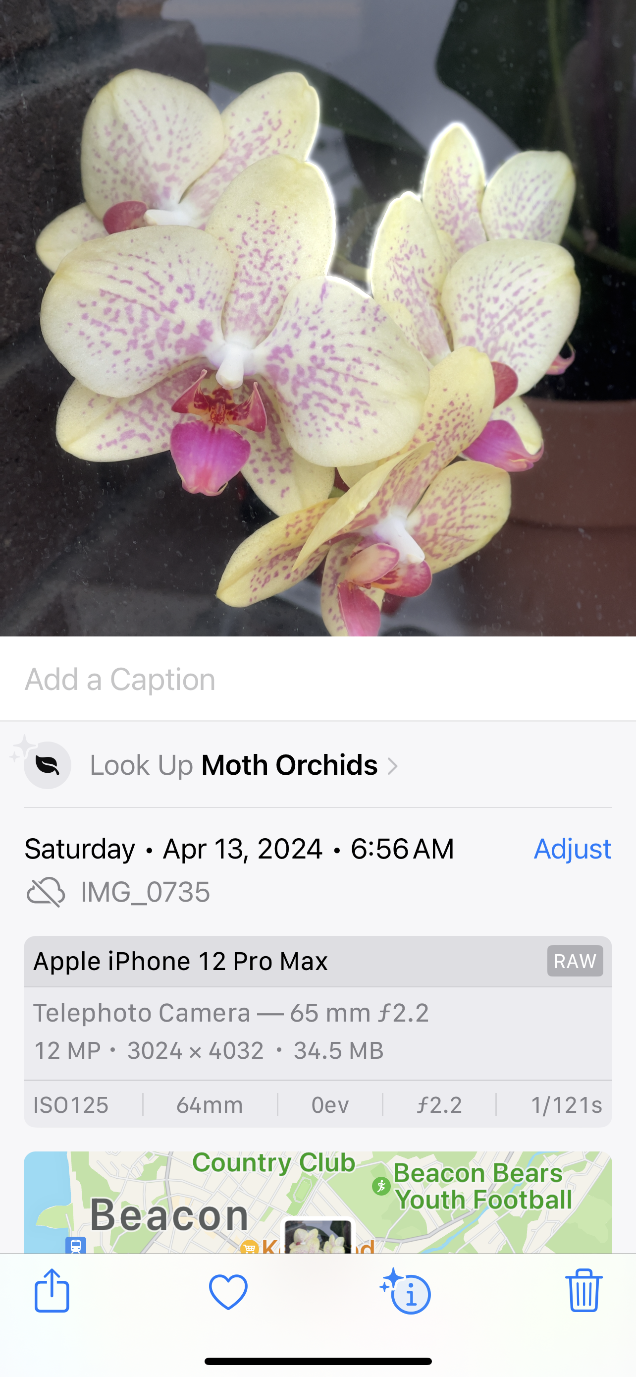 Moth orchid photograph with information about date and camera used below.