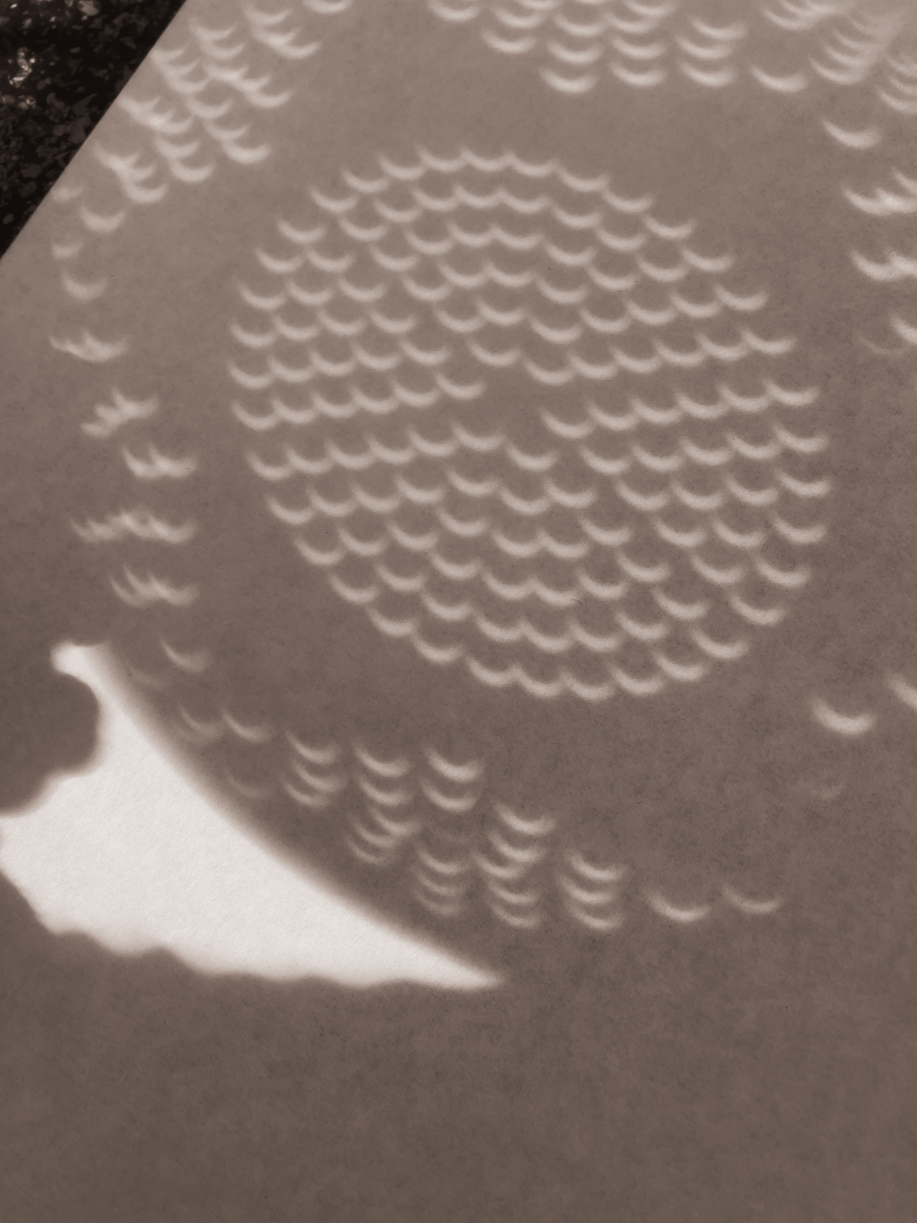 Eclipse projected onto a white background through the holes of a colander. Eclipse is close to totality.