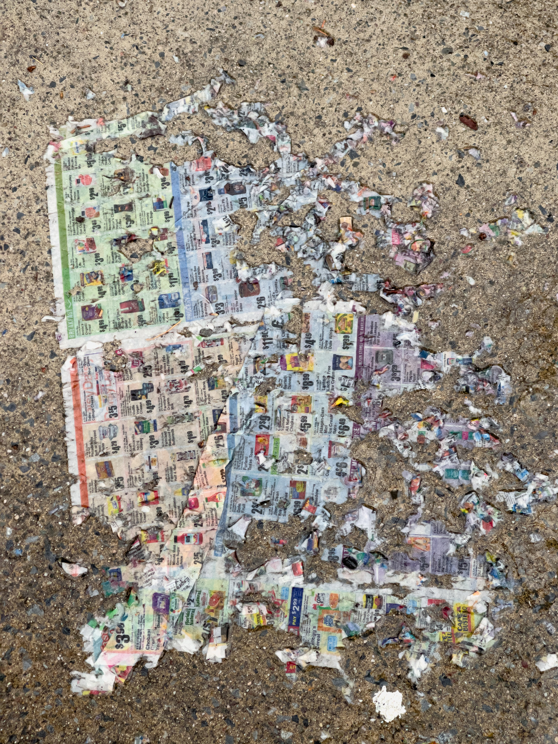 Disintegrating newsprint coupon circular on wet concrete pavement