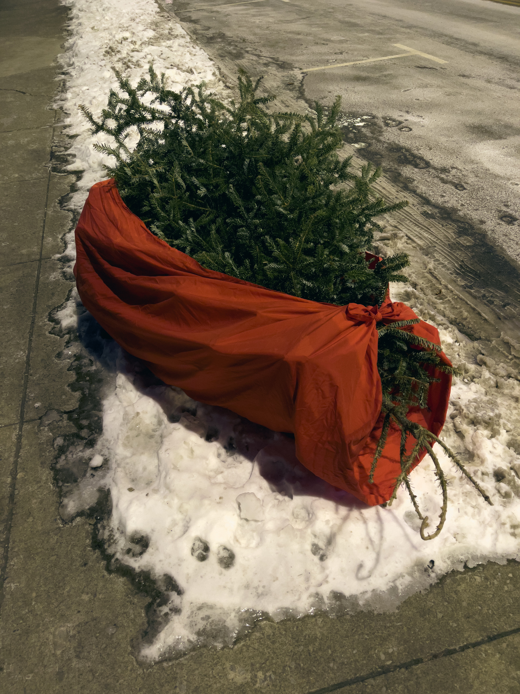 Christmas tree wrapped in red sheet lying on top of a snow bank.