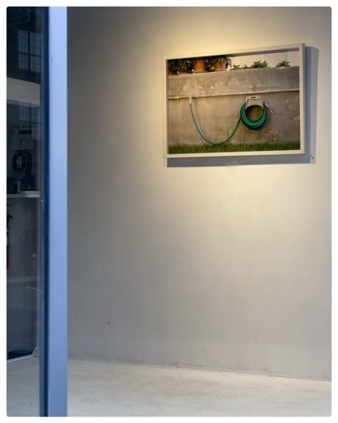 Gallery display window with photographic art hanging on the wall. 