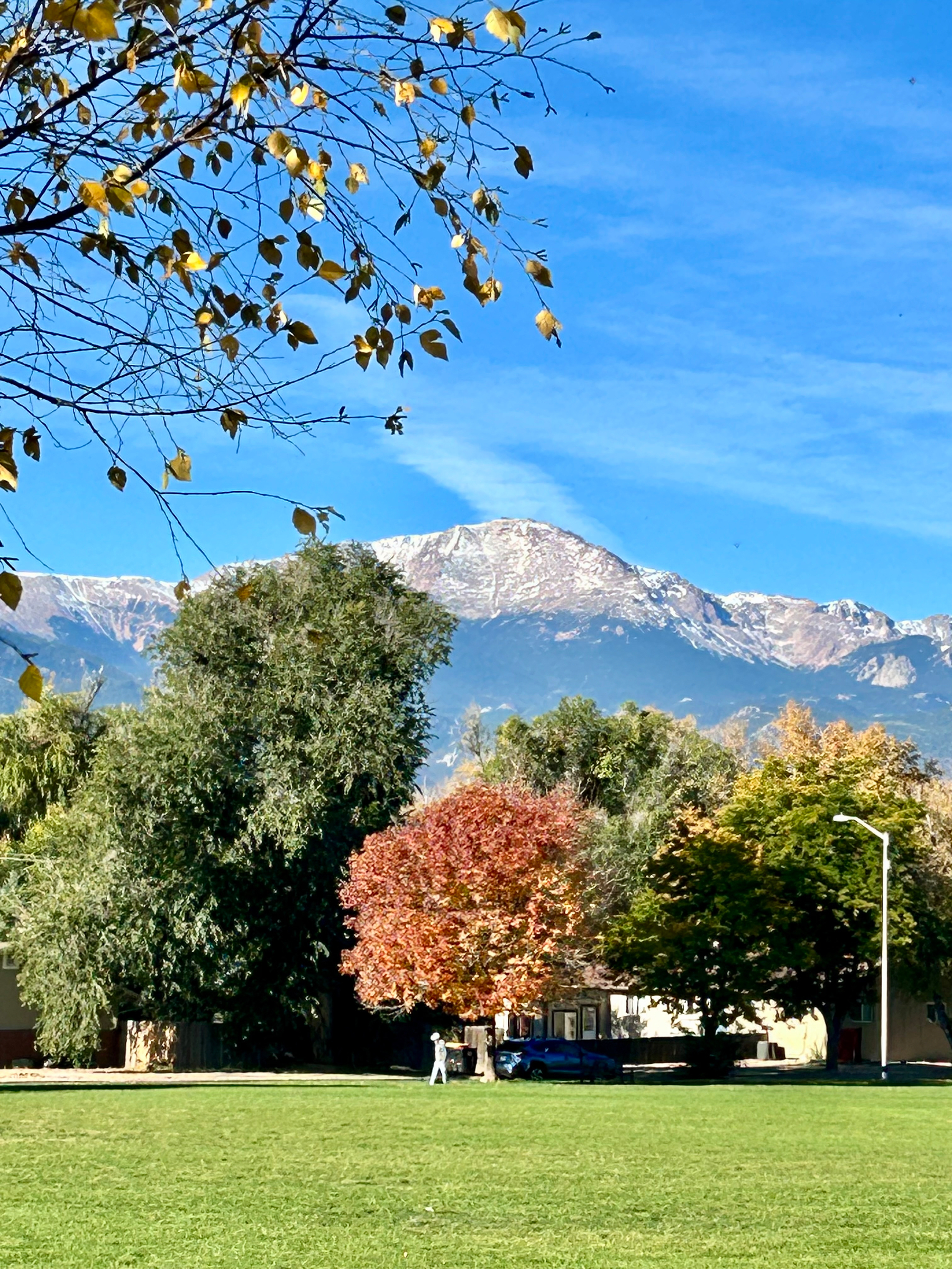 Pikes Peak and Foliage