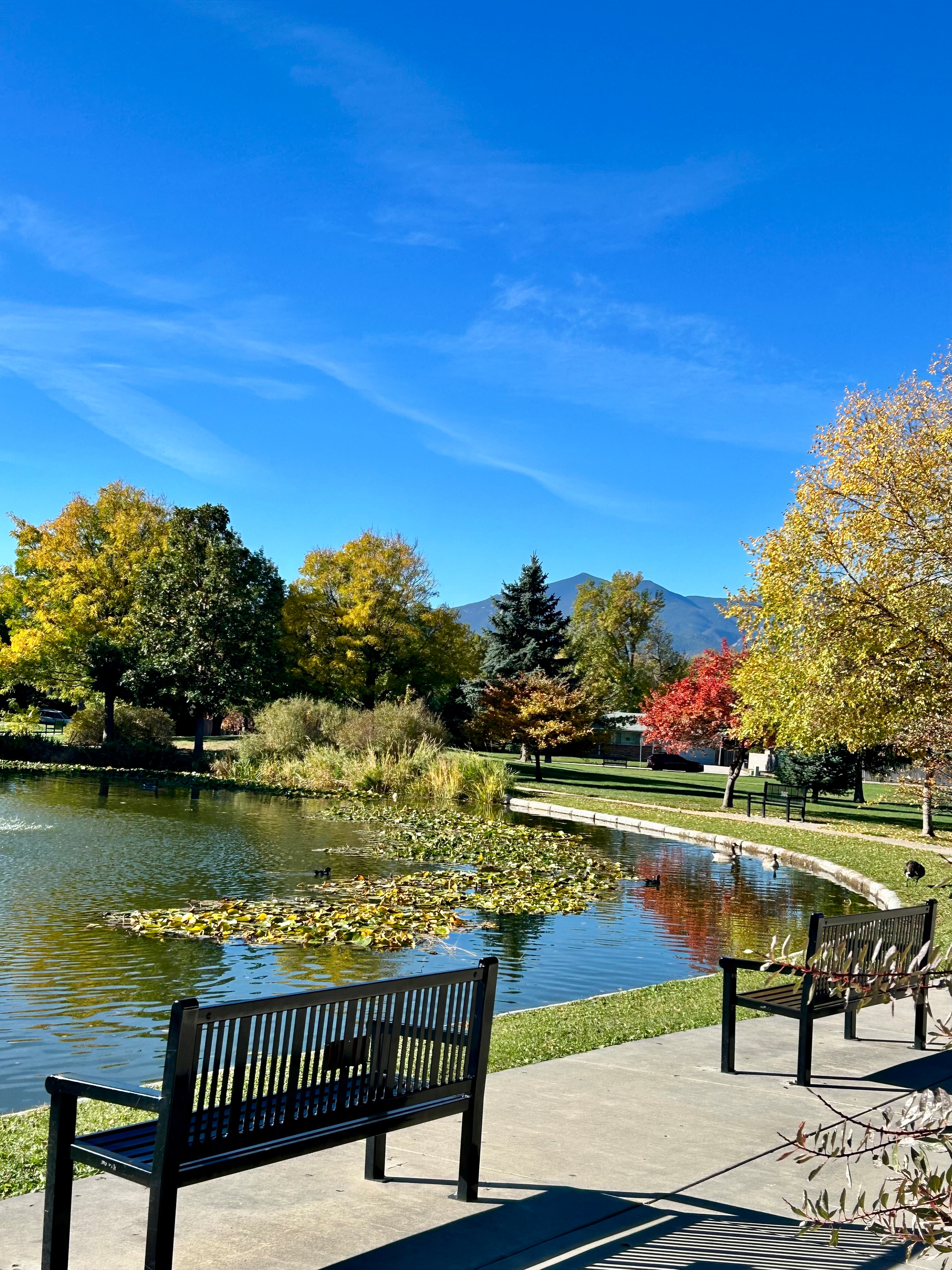 My Favorite Bench