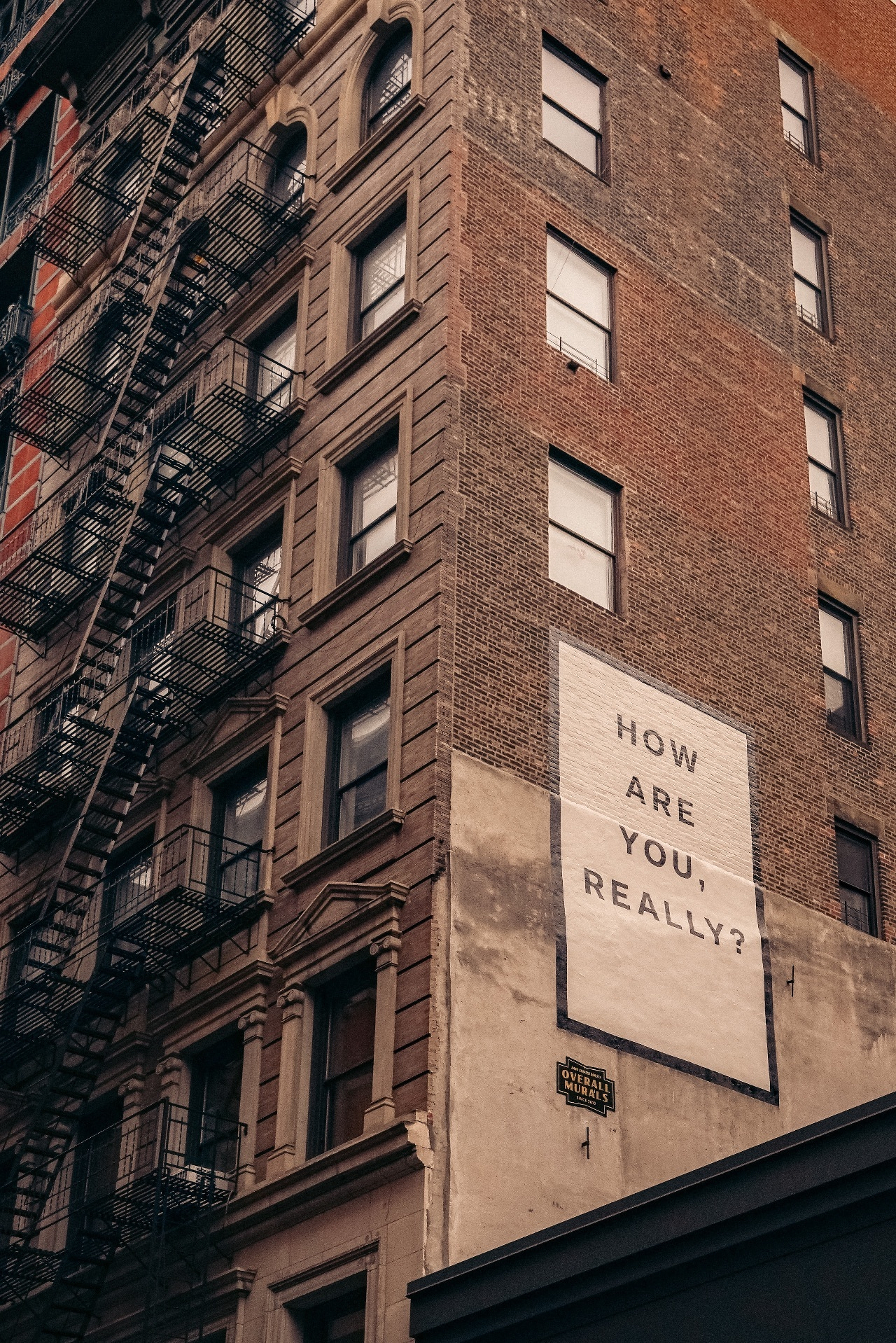 Photo by Finn via Unsplash unsplash.com/@finnnyc