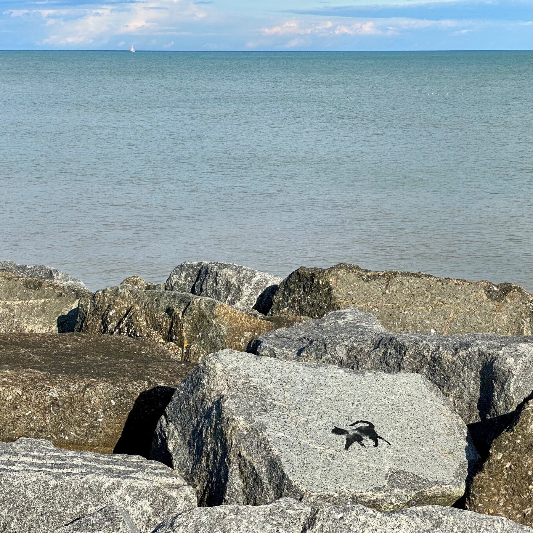 Black cat etched on giant rocks by the seaside, with a sailboat off in the distance