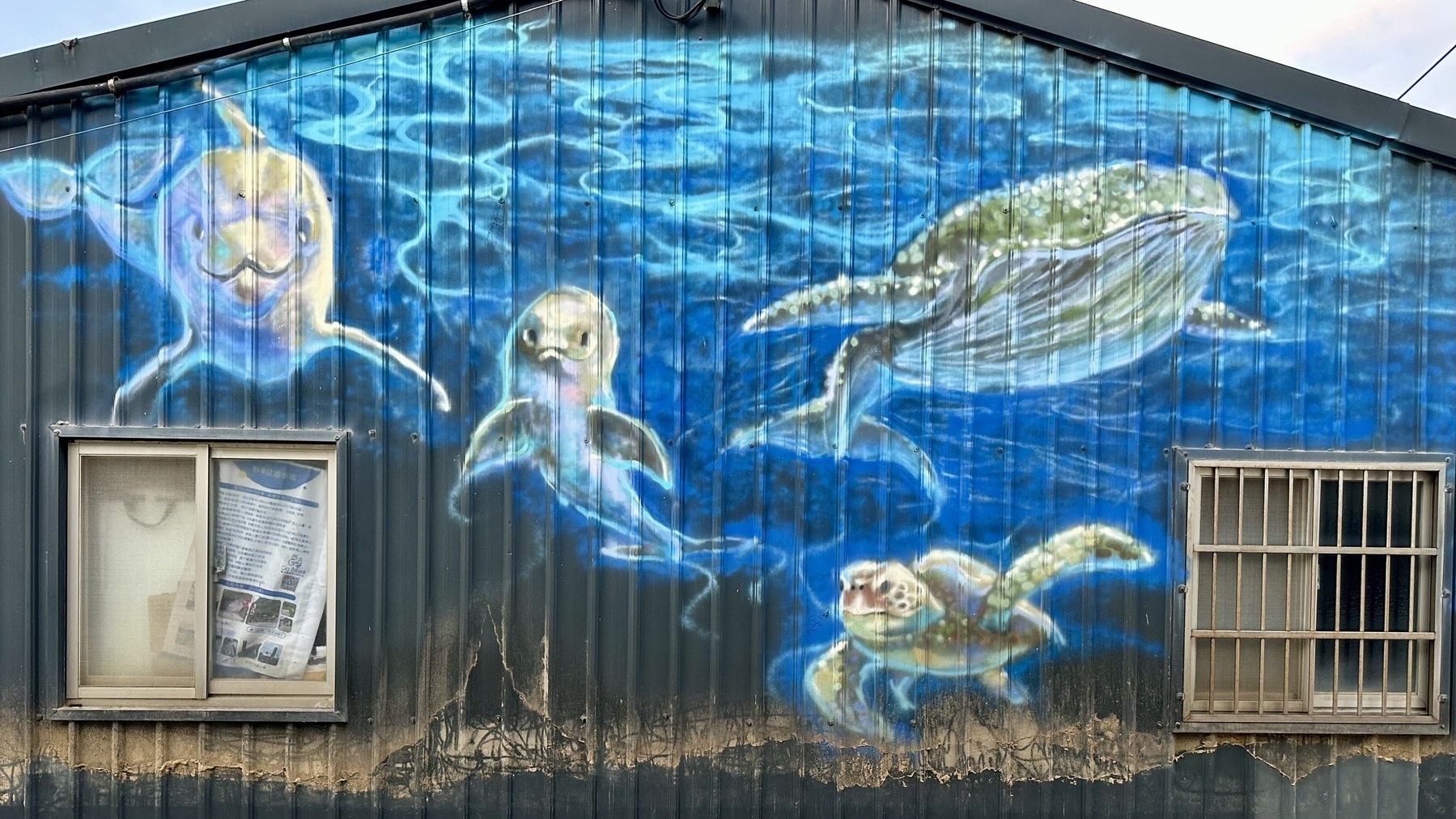 Blue wall art of two dolphins, a turtle, and a whale.
