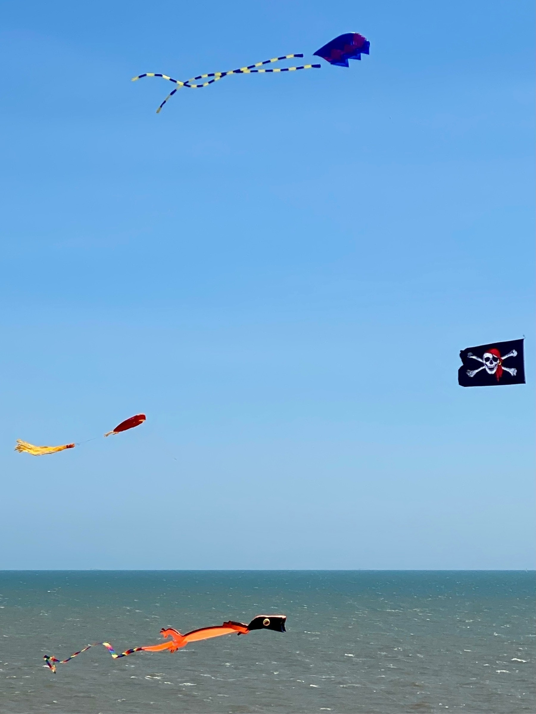 Four kites flying in a blue sky over a blue-green sea