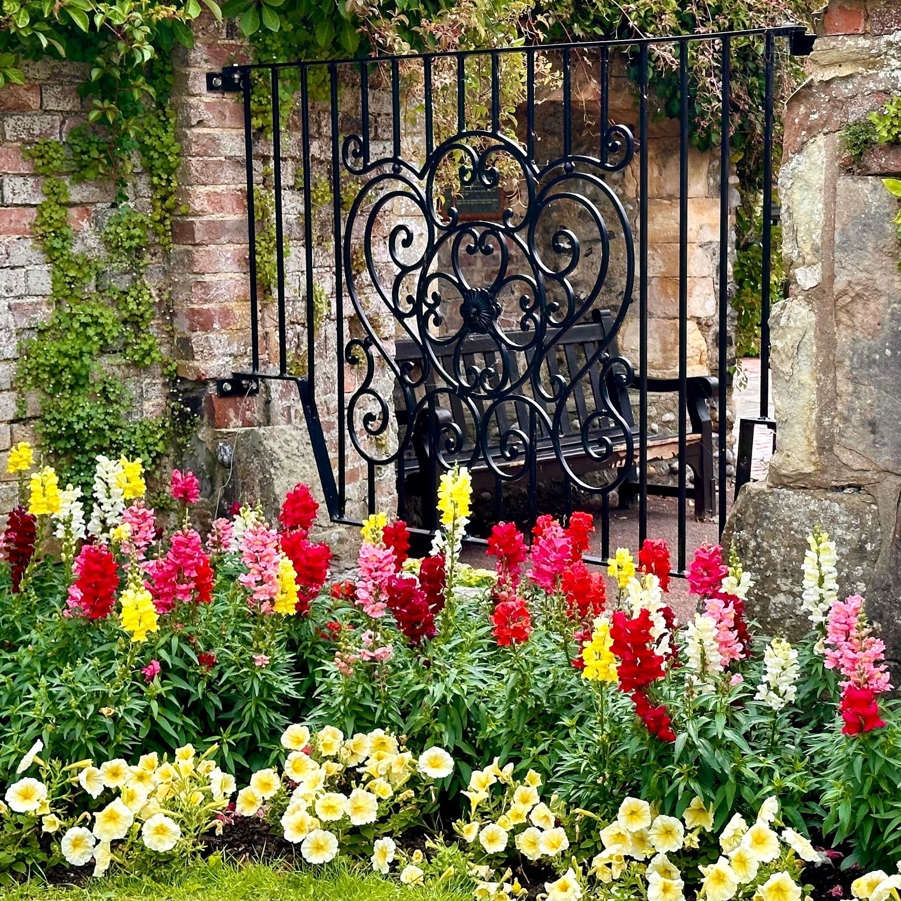 Coloured flower garden in front of cast iron gate, with cast iron bench beyond