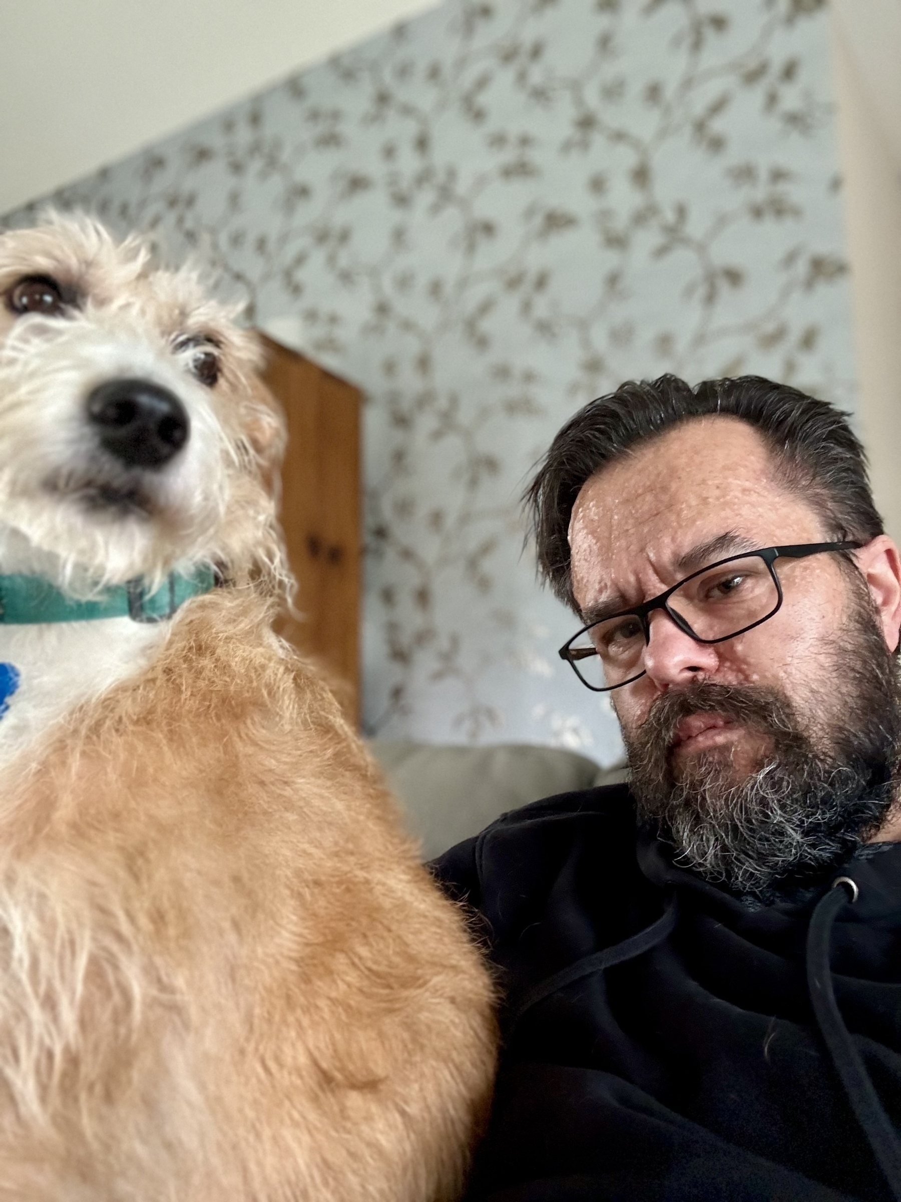Shane the lurcher looks into the distance as a hairy faced man looks constipatedly into the lens. 