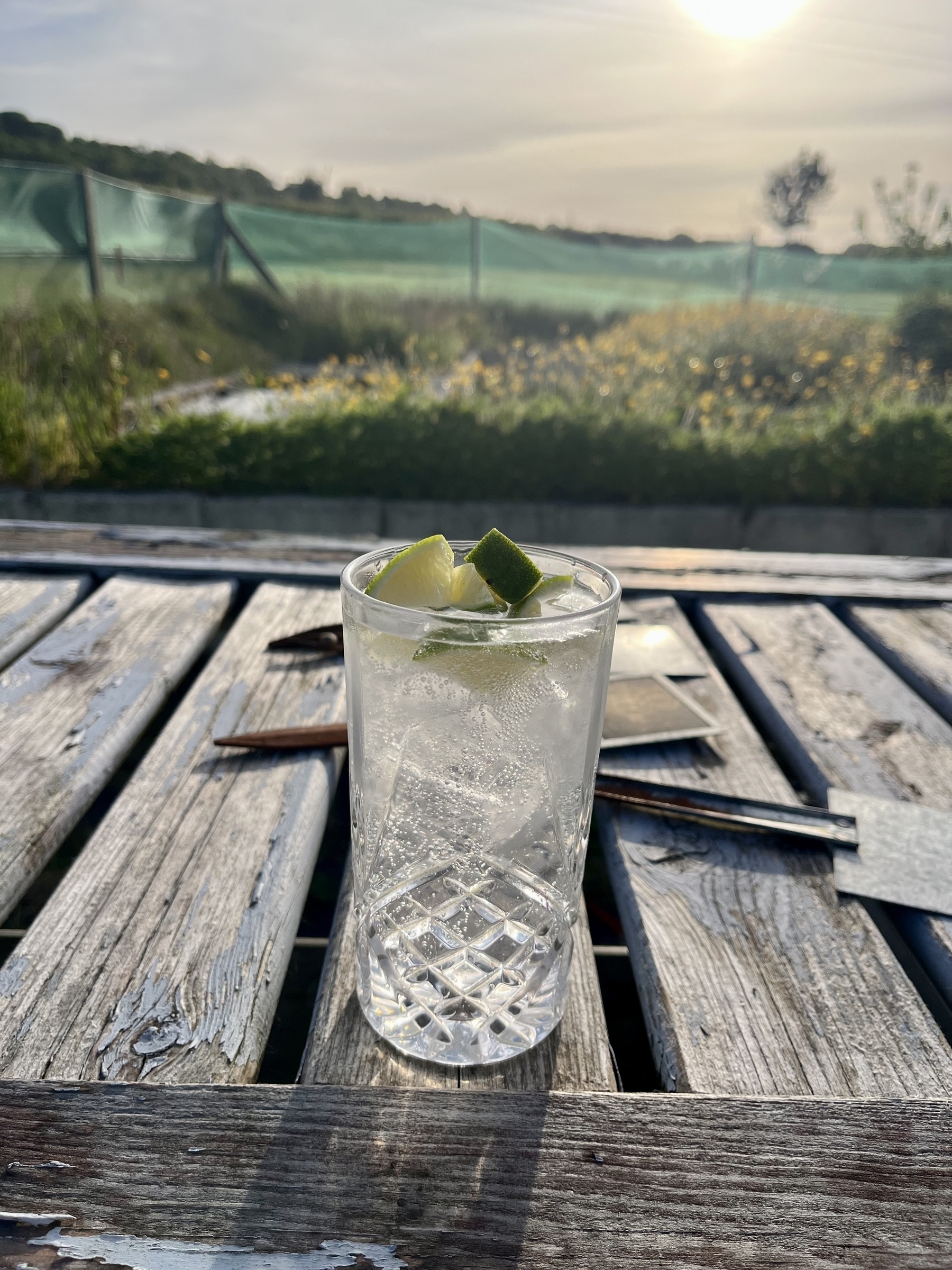 A glass of clear beverage on a chipped wooden table with an overgrown garden in the background. 