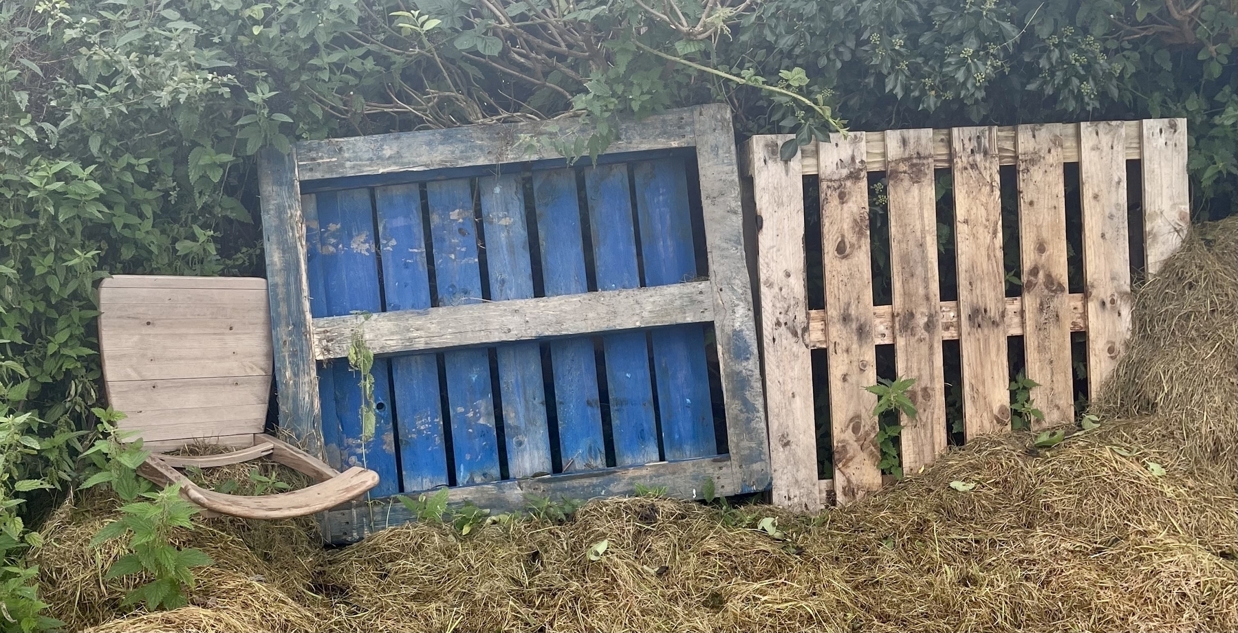 Two wooden pallets and a chair, surrounded and blocking a sparse hedgerow. 