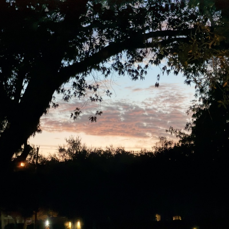 IMG_0164.jpeg